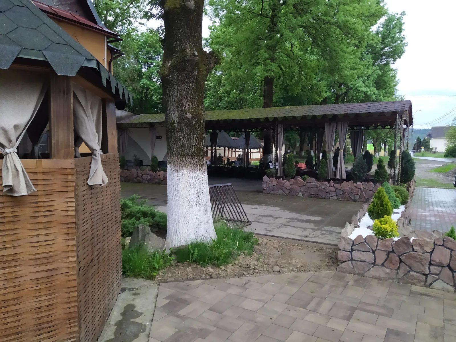 Tarilka image 10