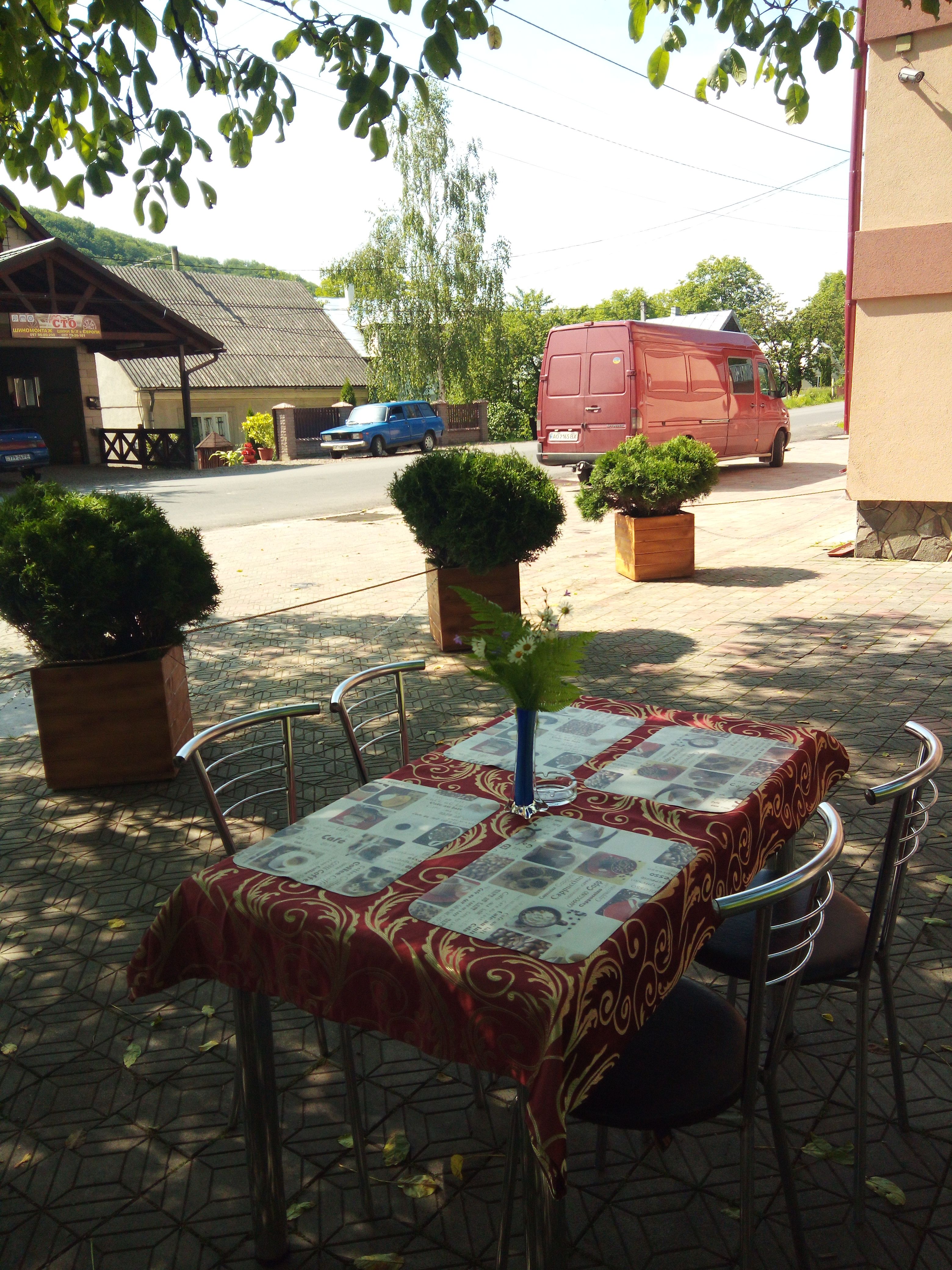 Ресторан "Сафари" image 1