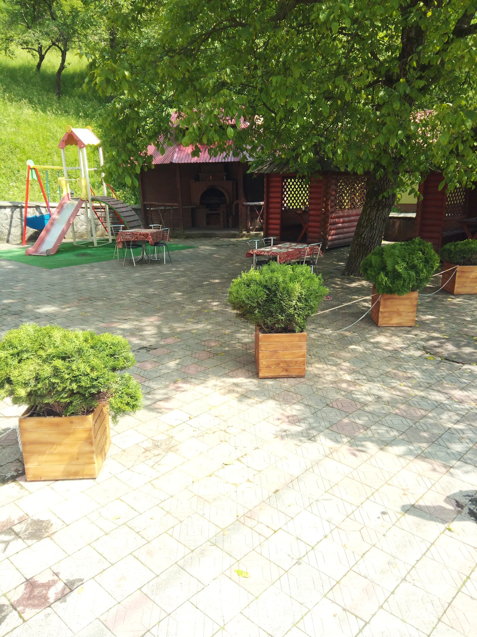 Ресторан "Сафари" image 8