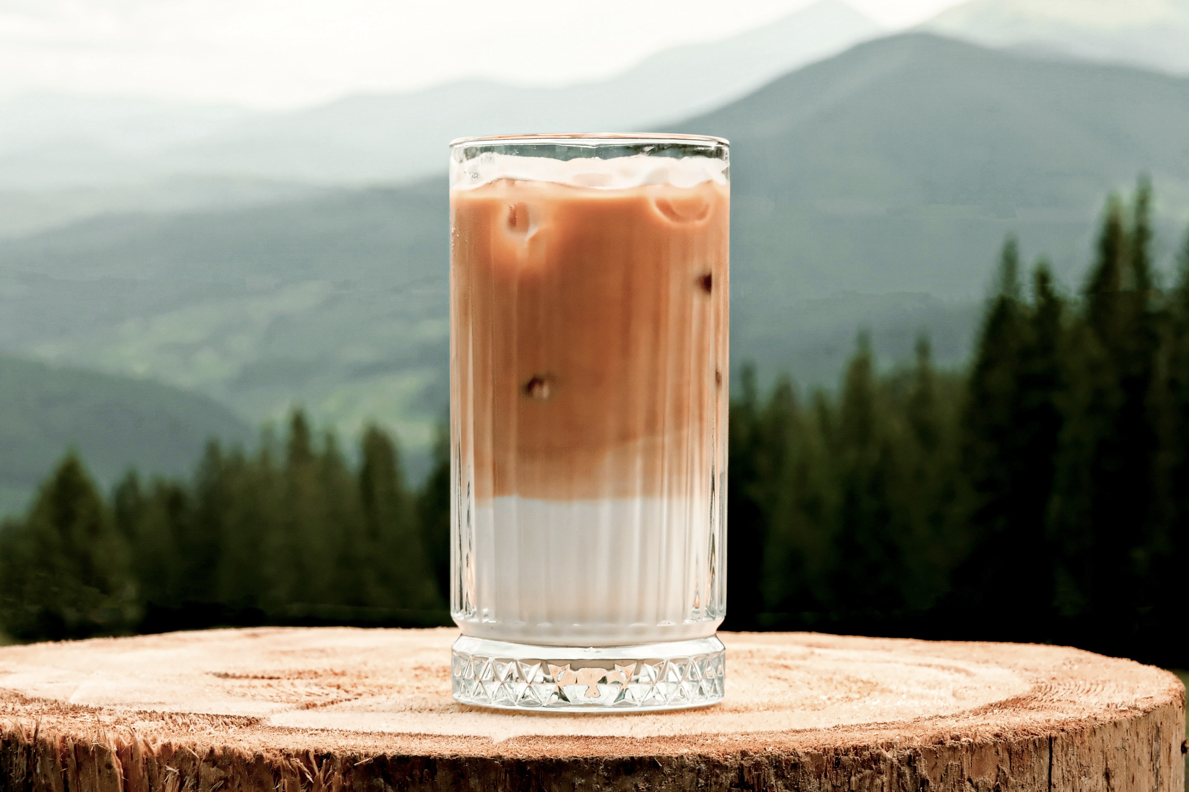 Persha Cheburechna Na Drahobrati image 9