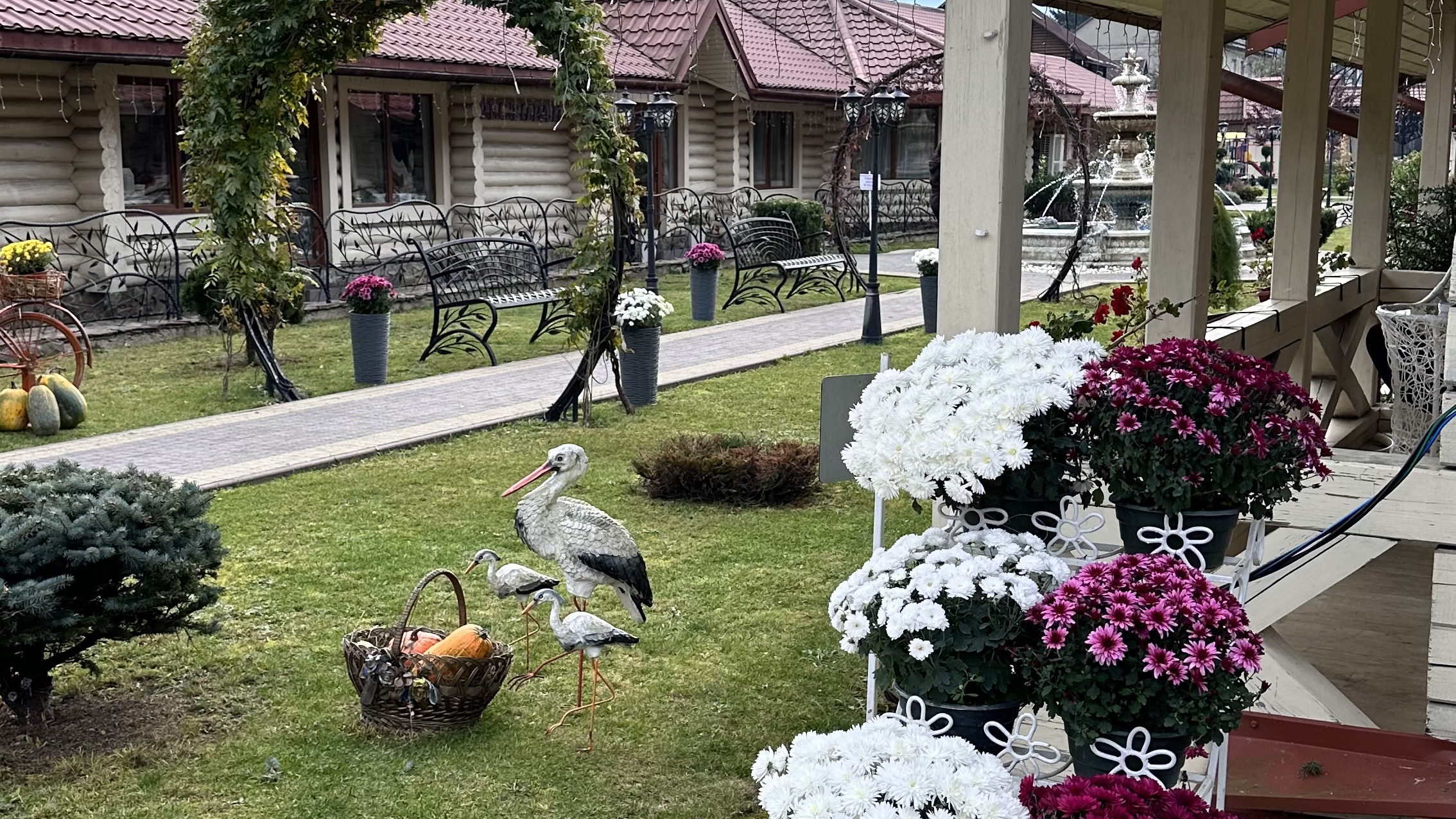 Michelle's restaurant image 3