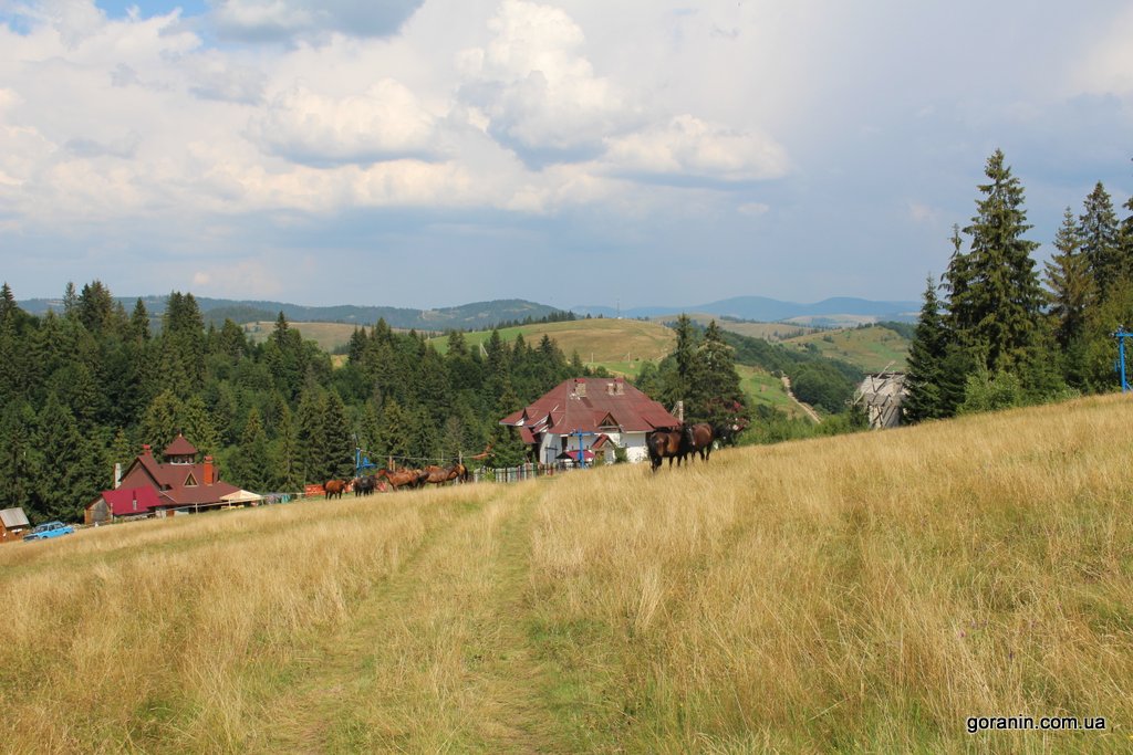 Horyanyn image 3