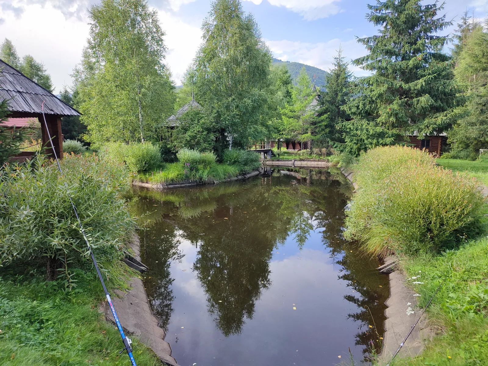 Medved image 8