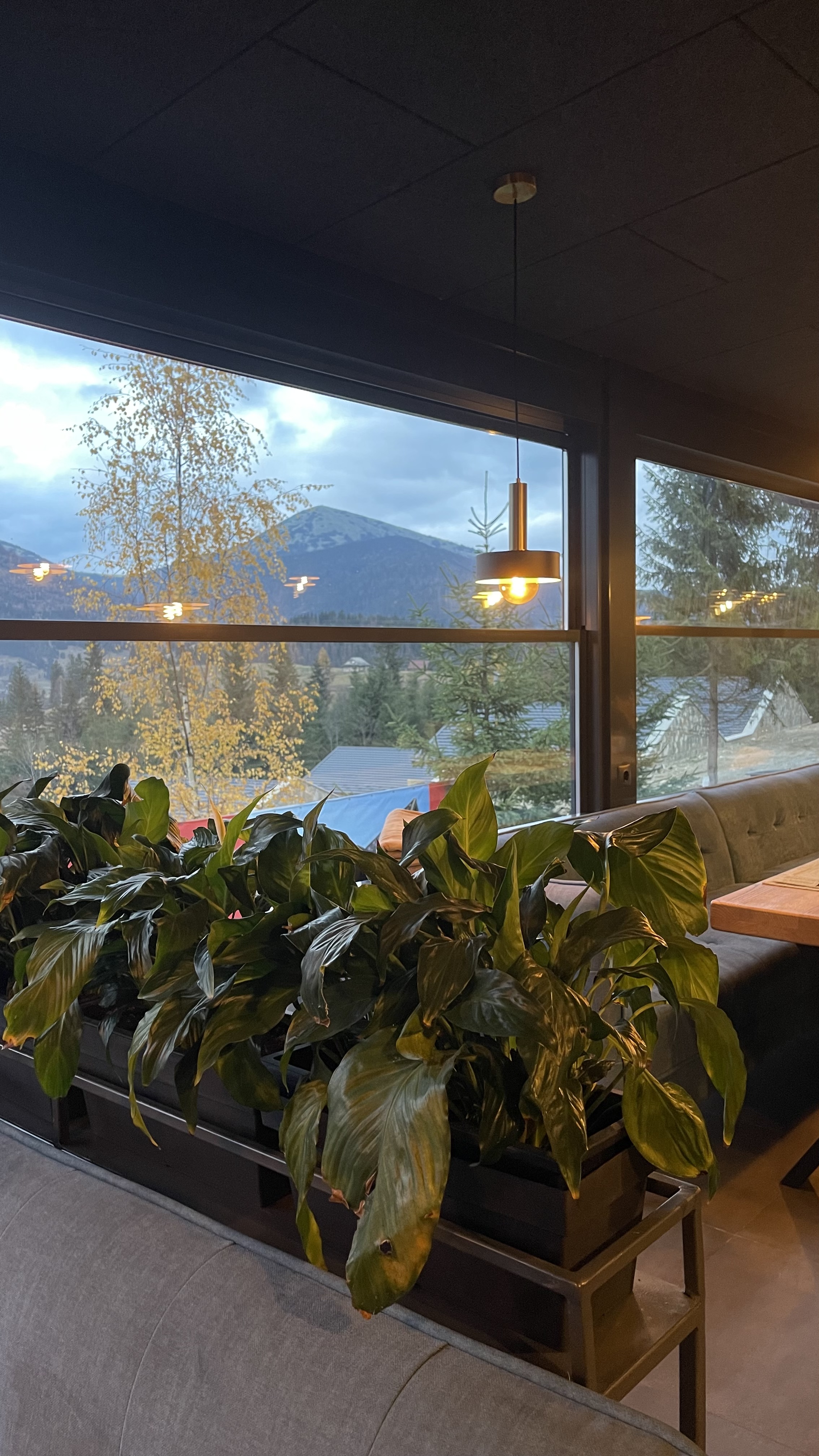 Ресторан Bergen image 8