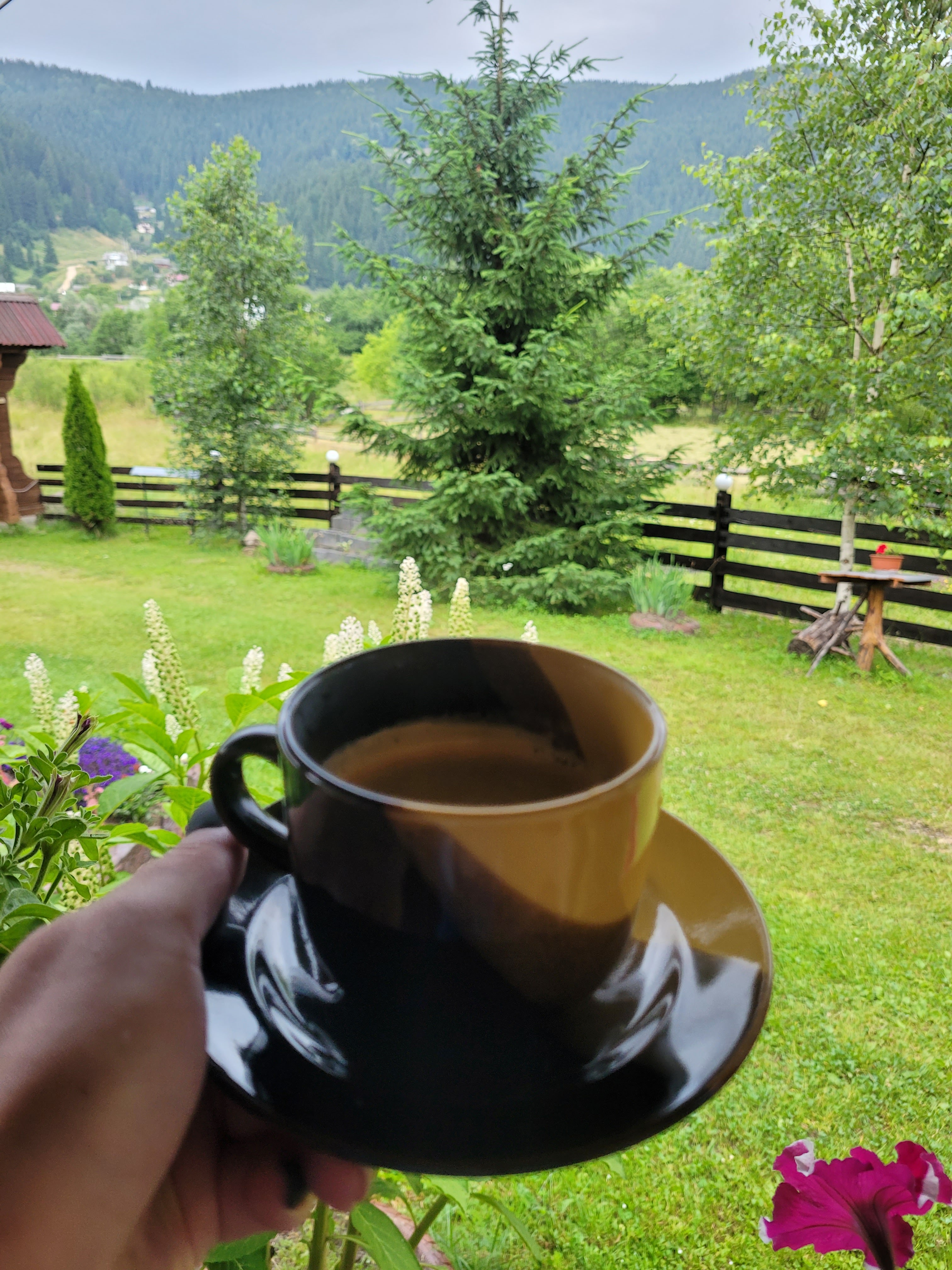 Hostynnyy Dvir "Karpat·sʹkyy Vodohray" image 9