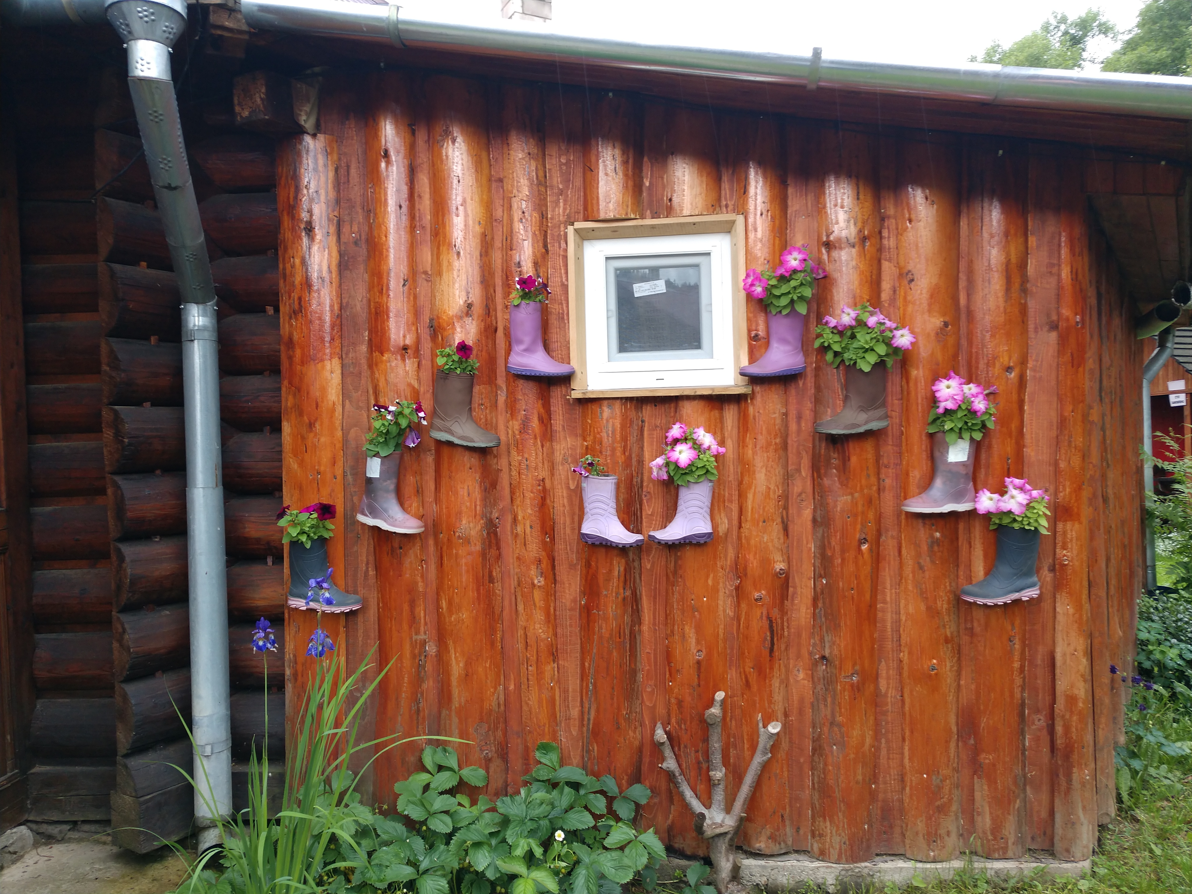 Hostynnyy Dvir "Karpat·sʹkyy Vodohray" image 10