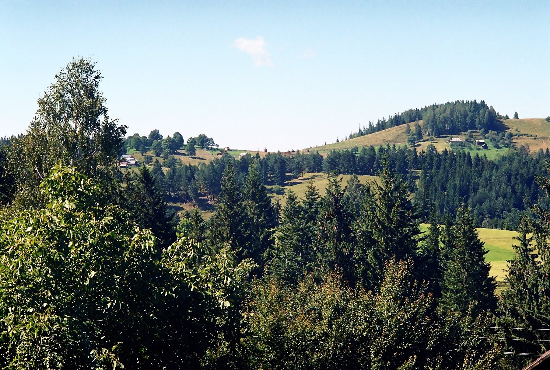 Гостинний двір «БУКОВЕЦЬ» image 2