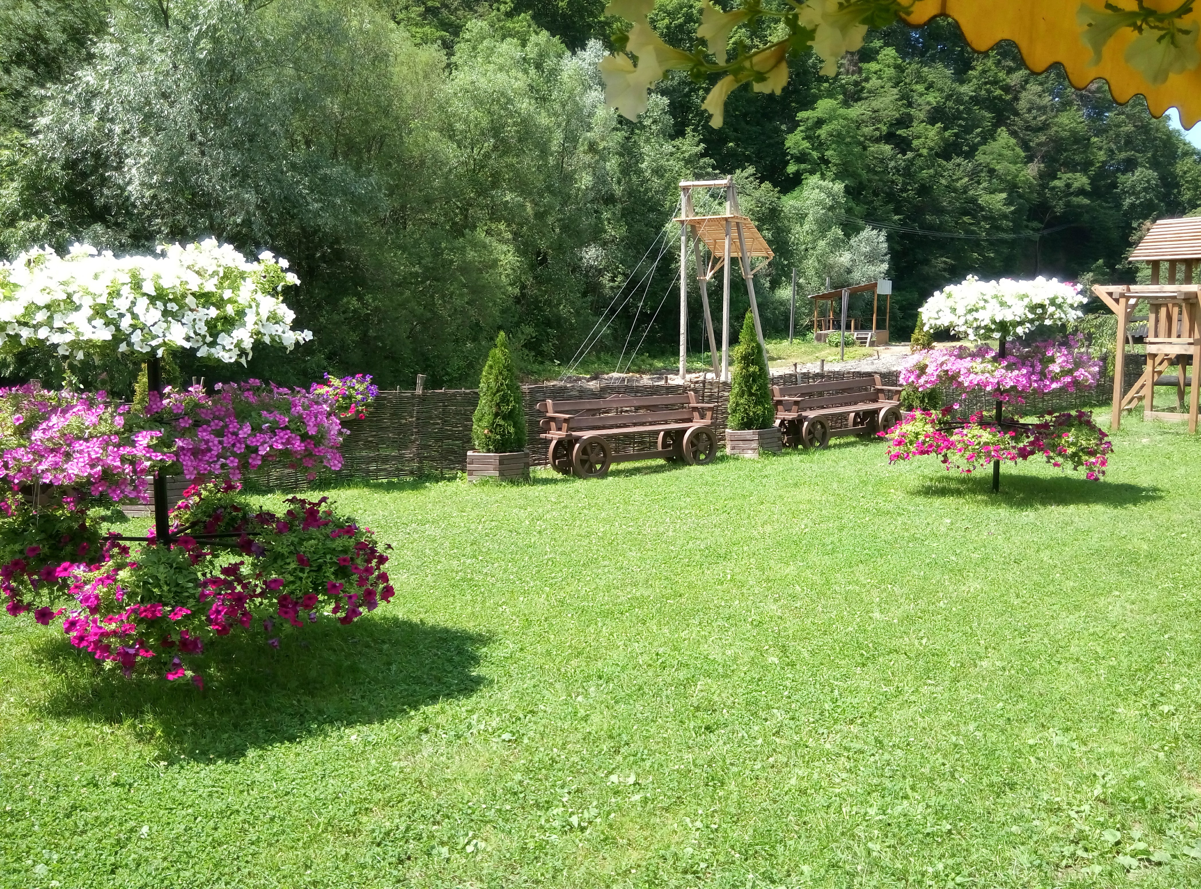 Kupalʹsʹka Nich image 6