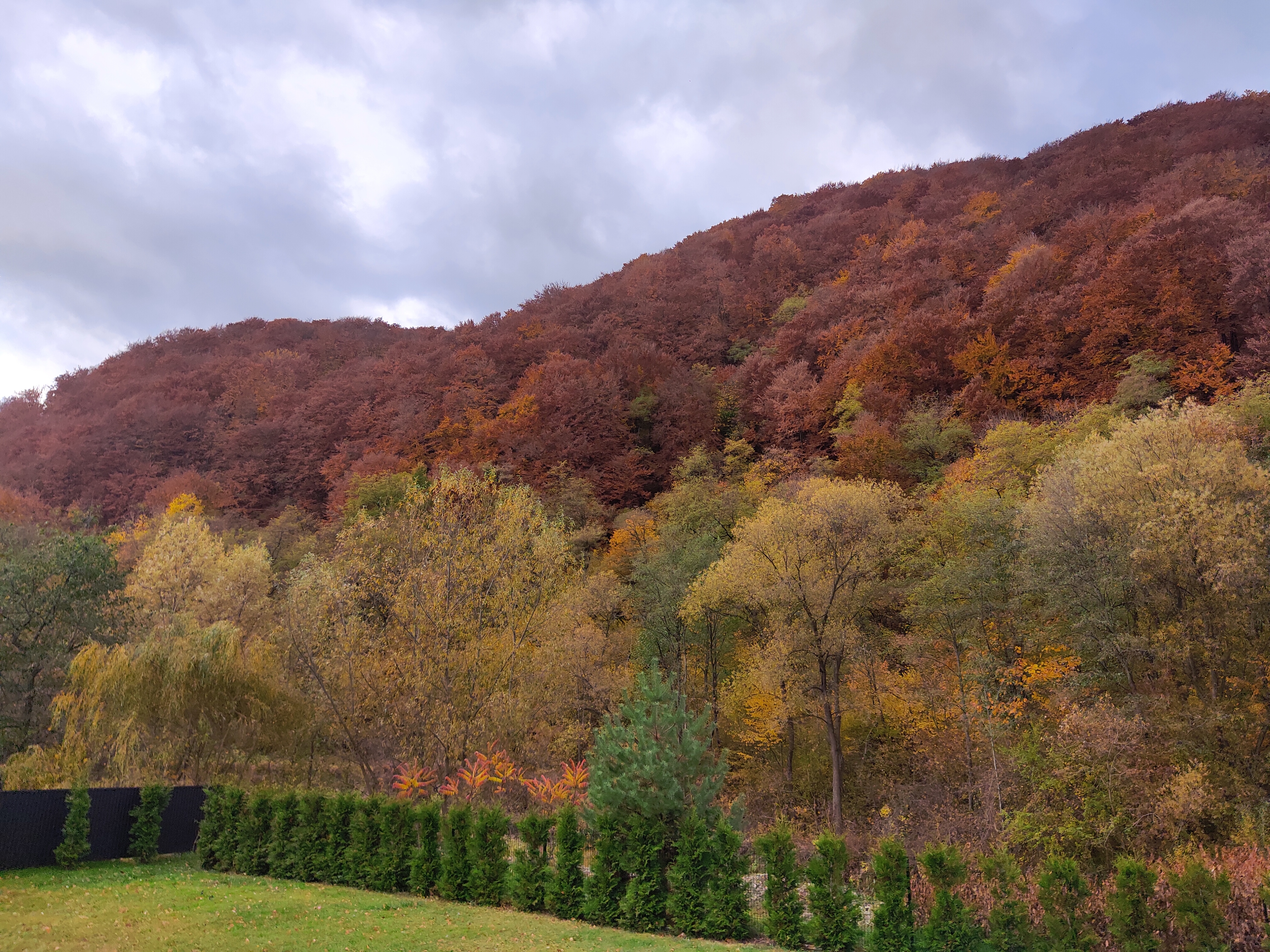 Kupalʹsʹka Nich image 9