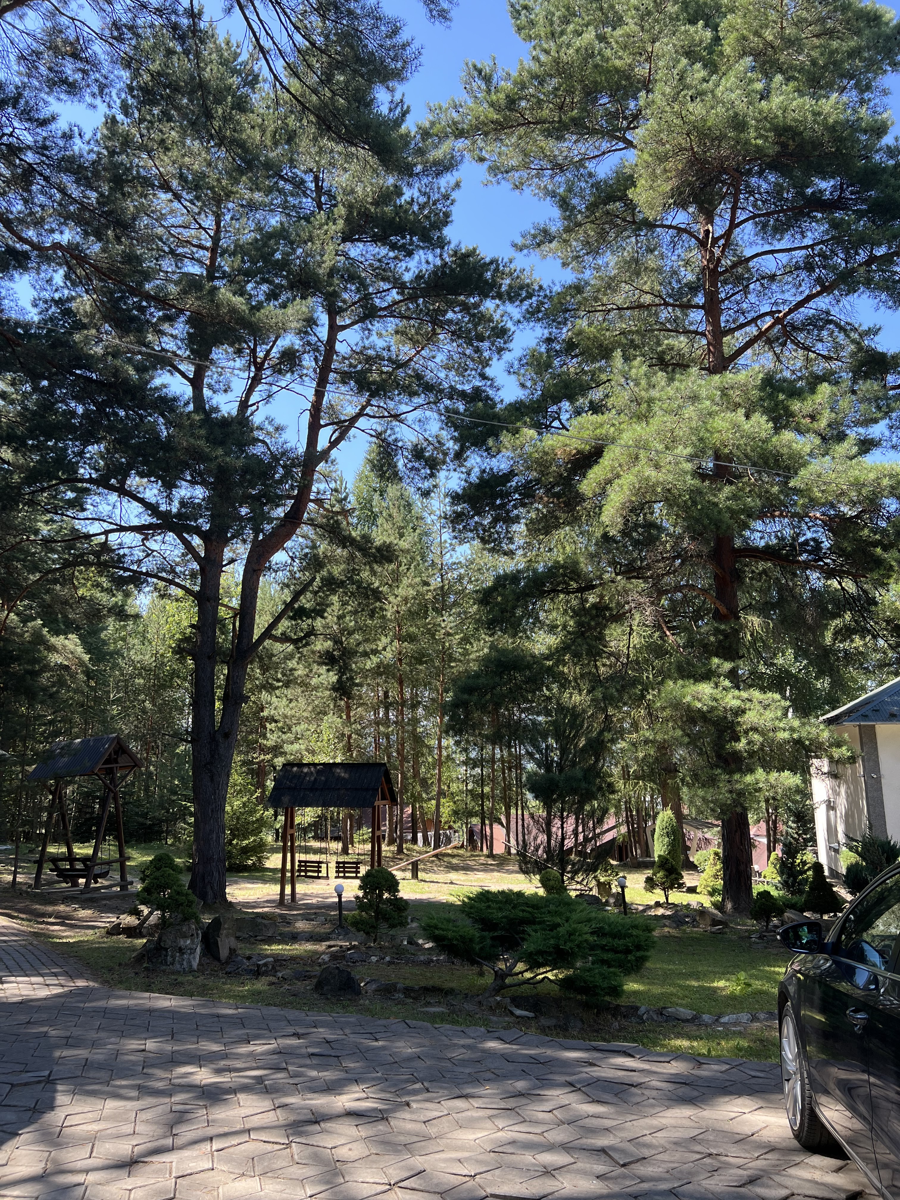 Sosnovyy Dvir image 5