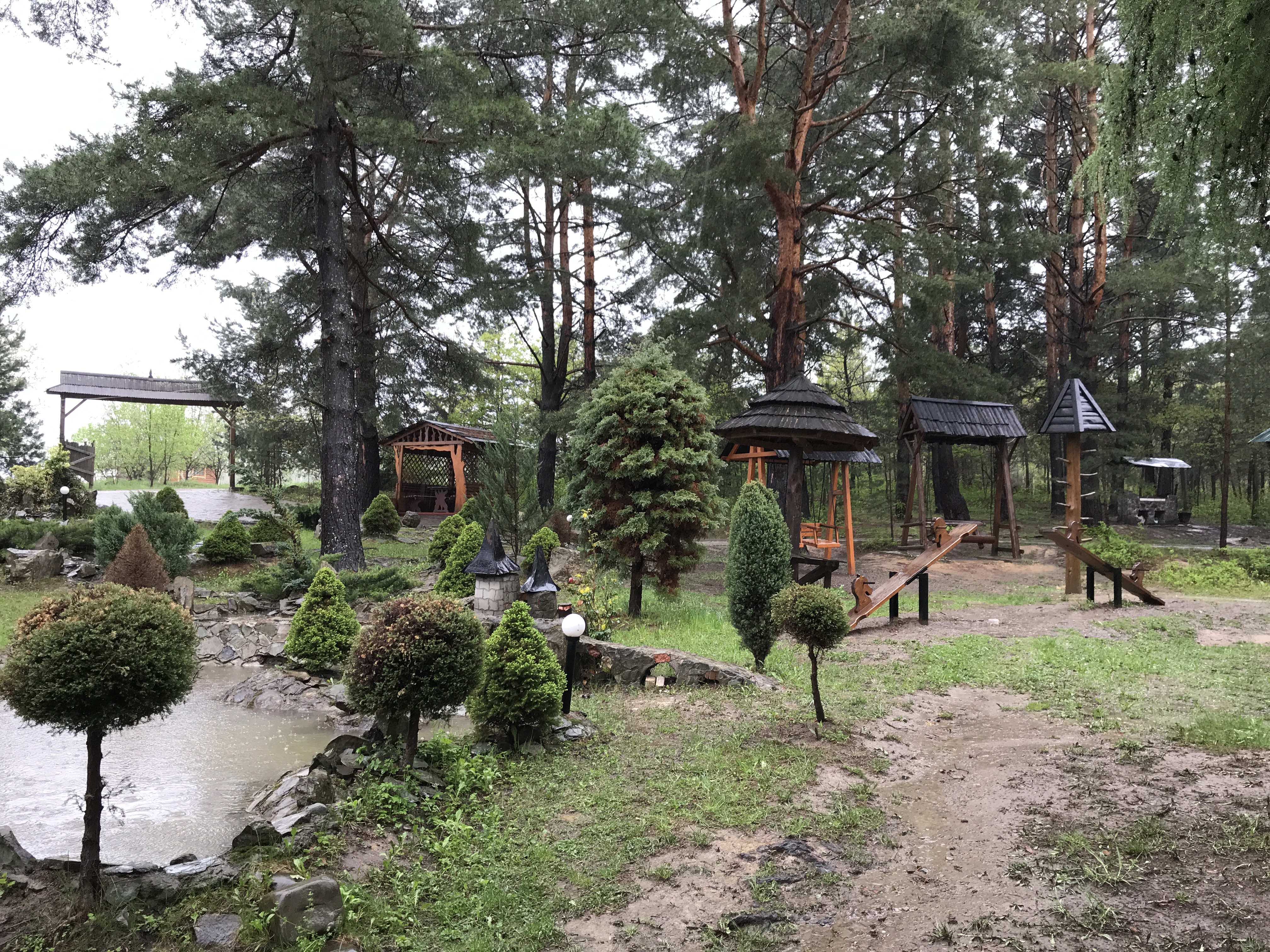 Sosnovyy Dvir image 7