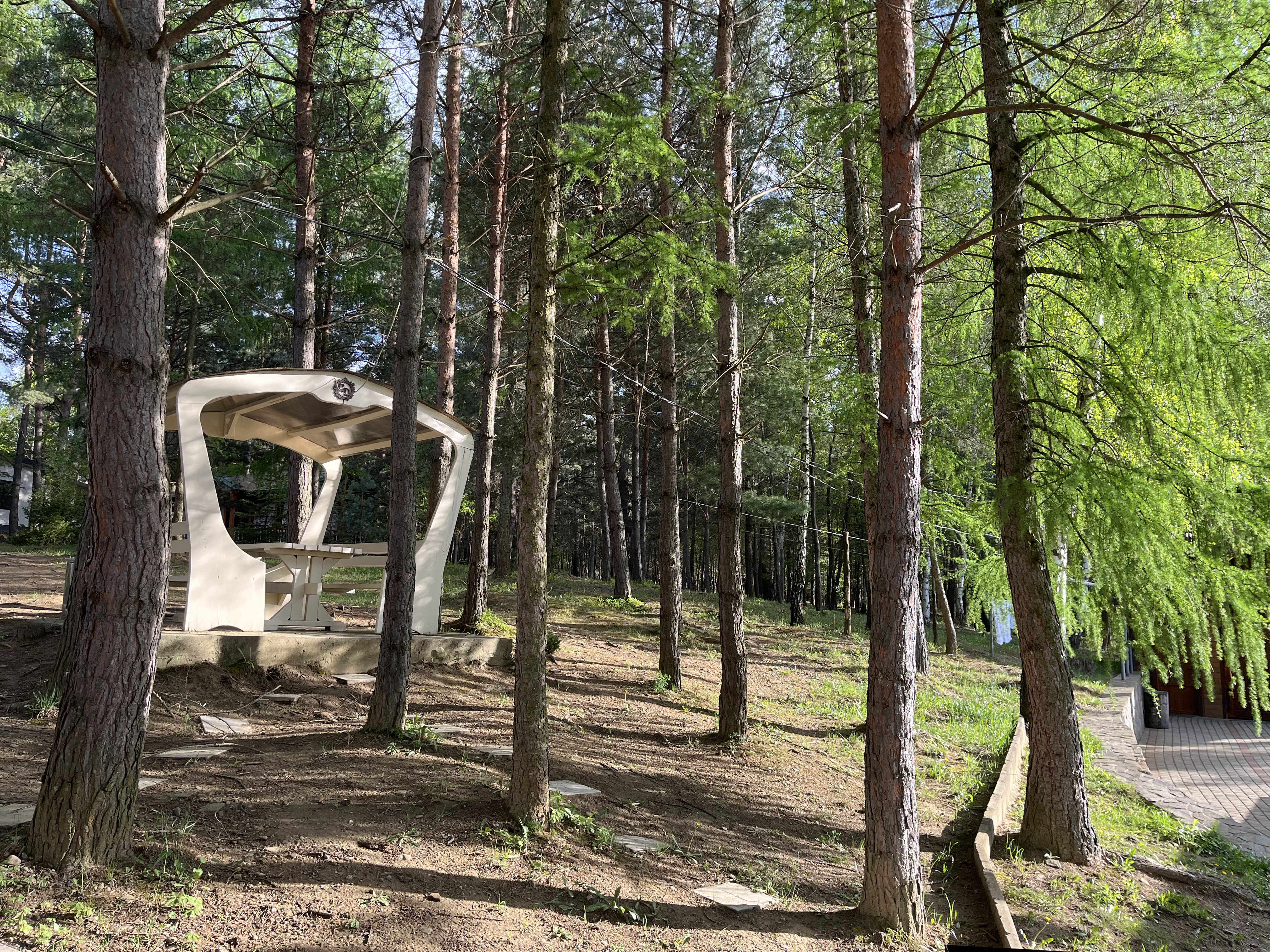 Sosnovyy Dvir image 9