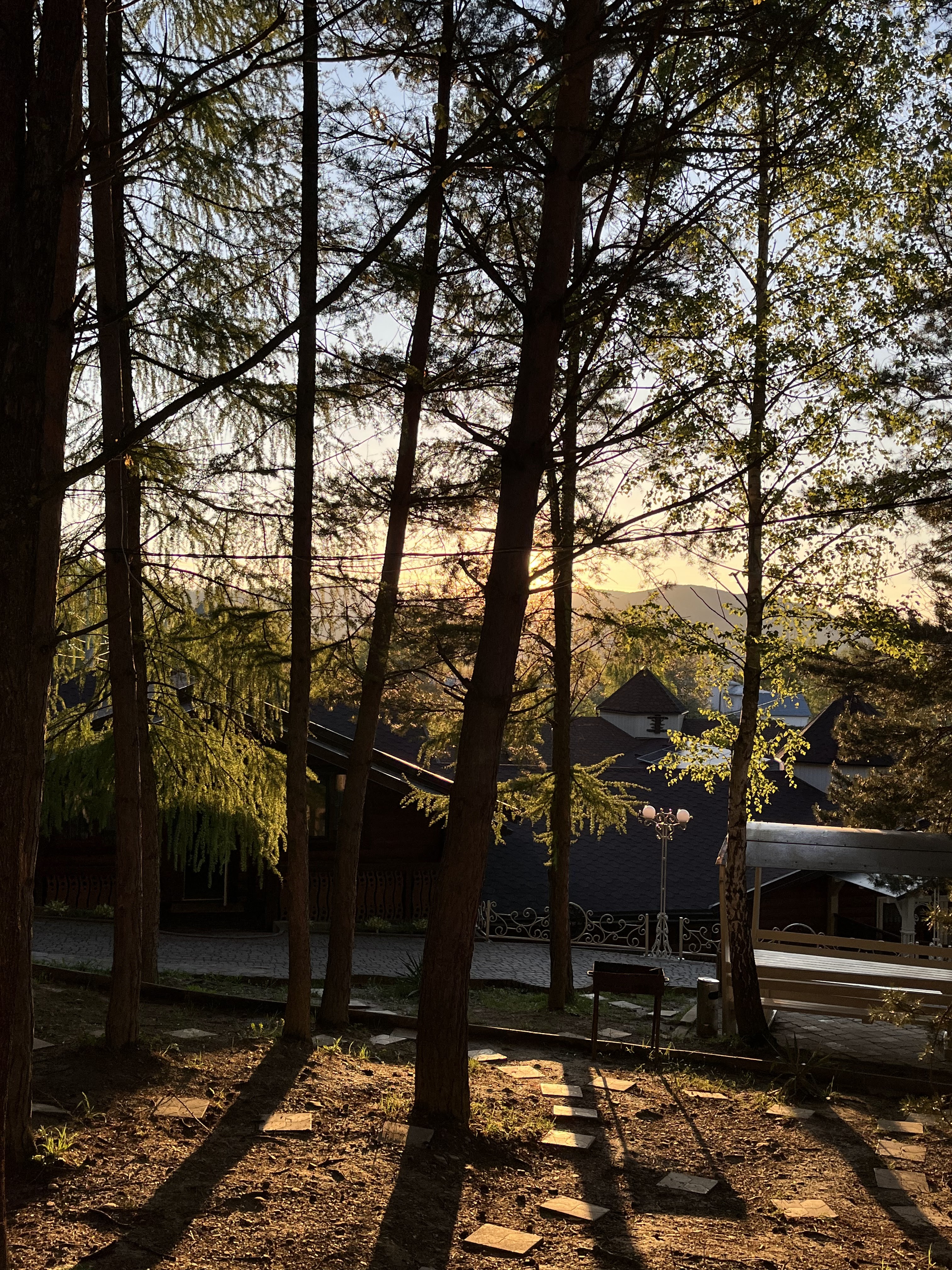 Sosnovyy Dvir image 10