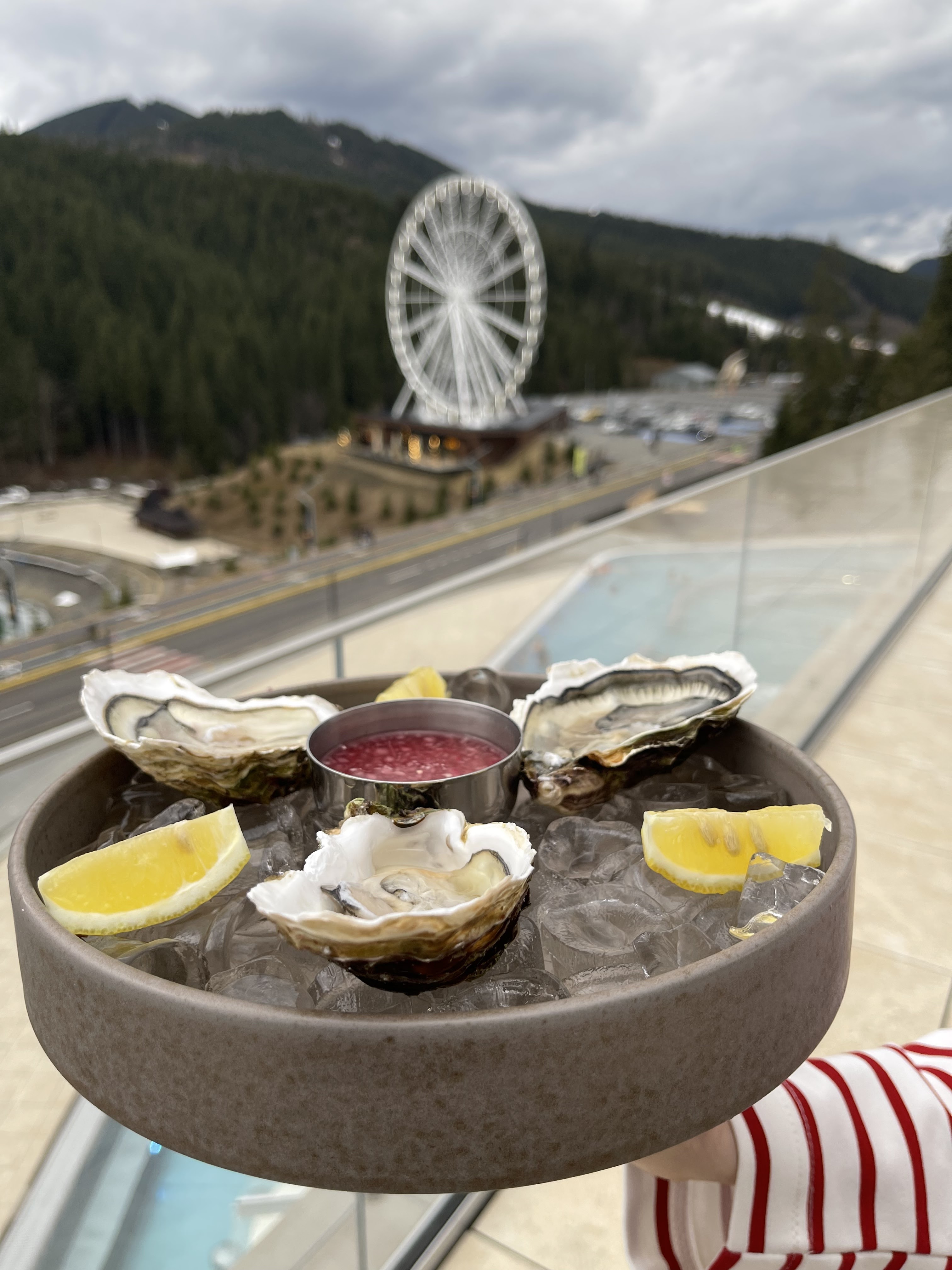 Langusta | Bukovel image 8