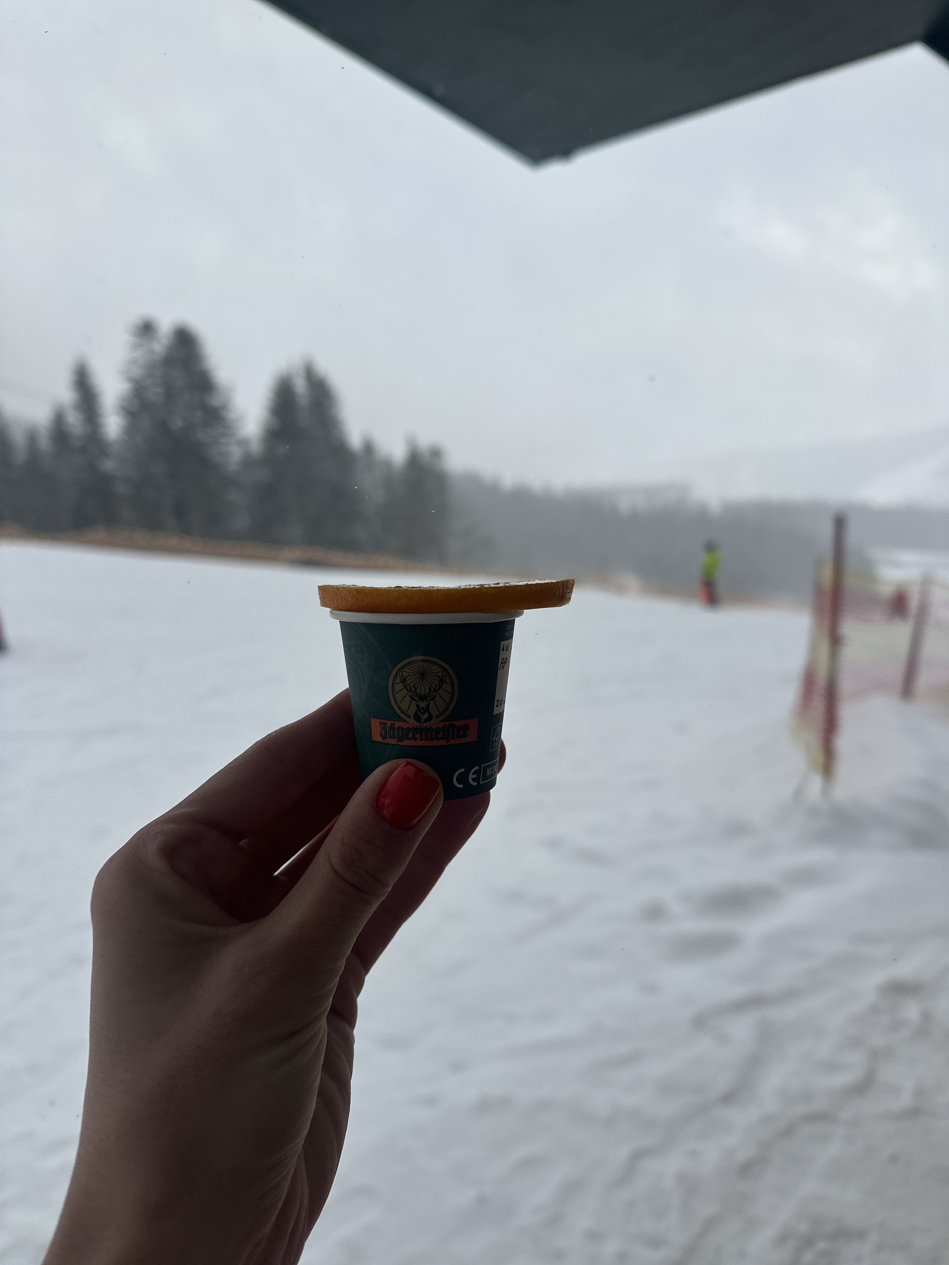 Aslari подих Криму image 8