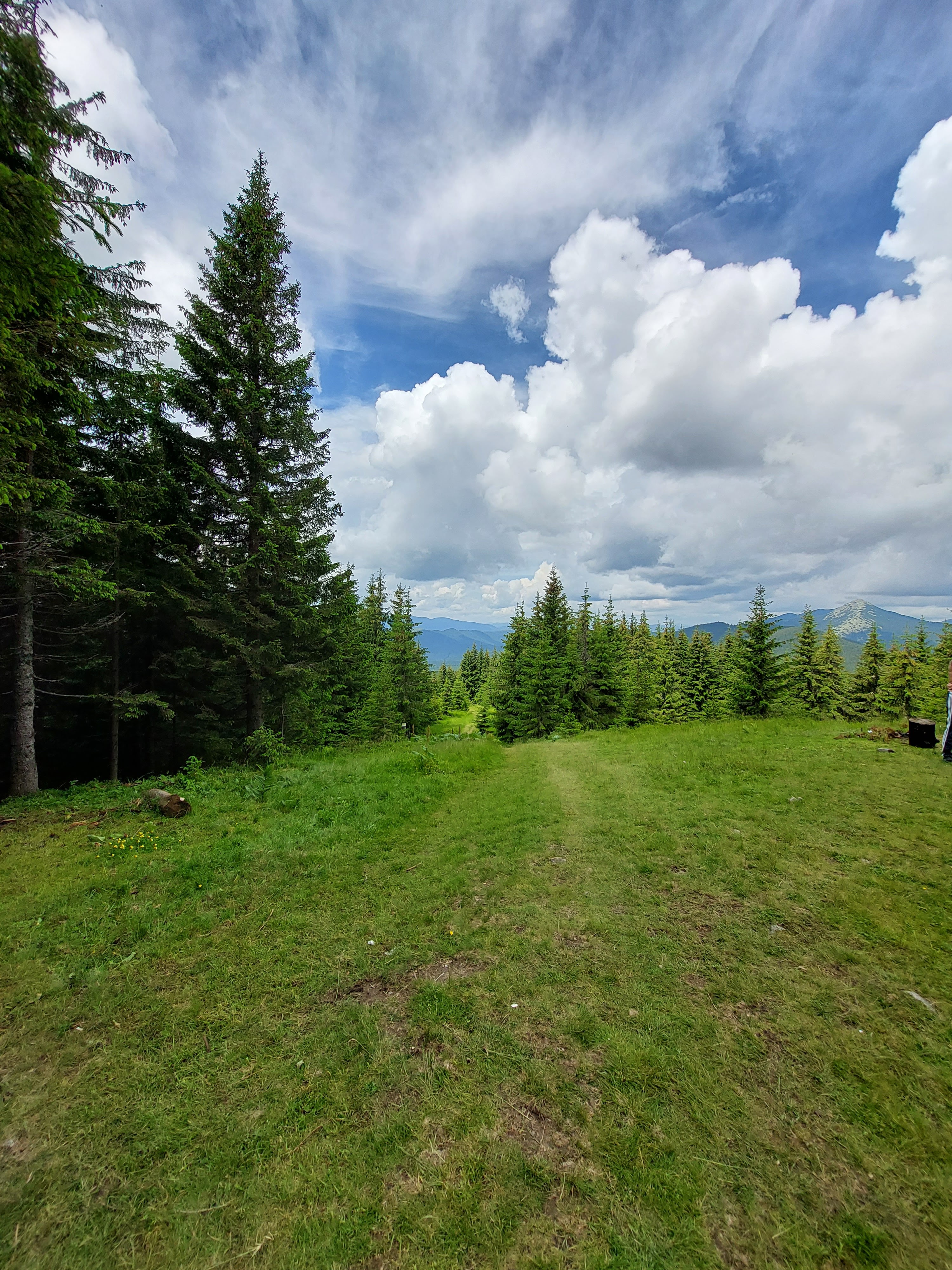 Бульчиньоха image 9