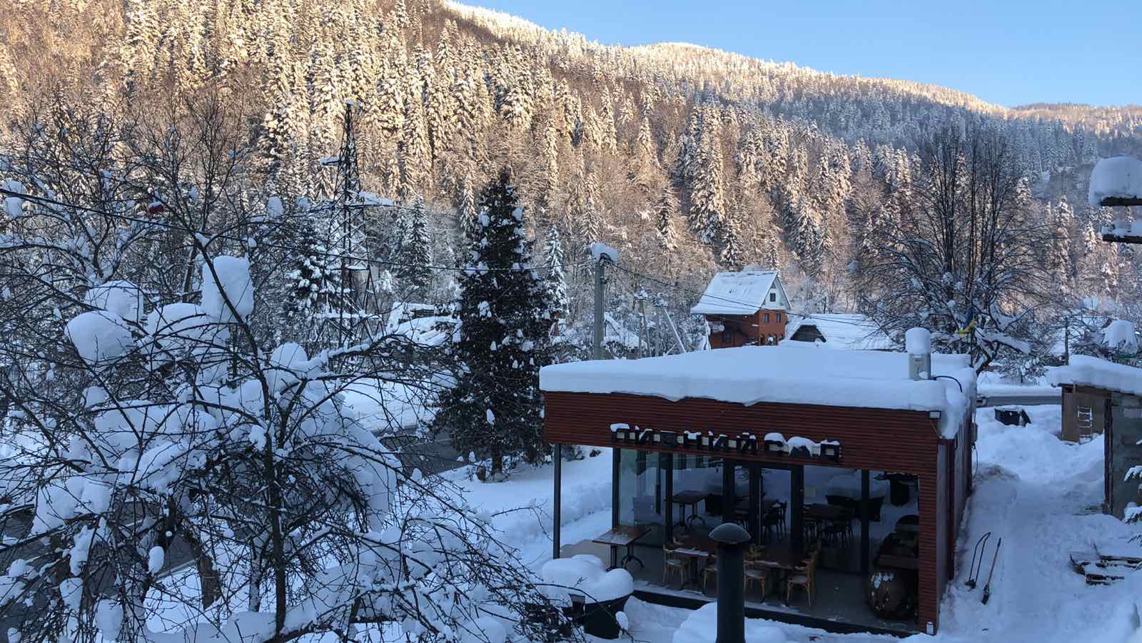 Пивний сад / Biergarten image 6