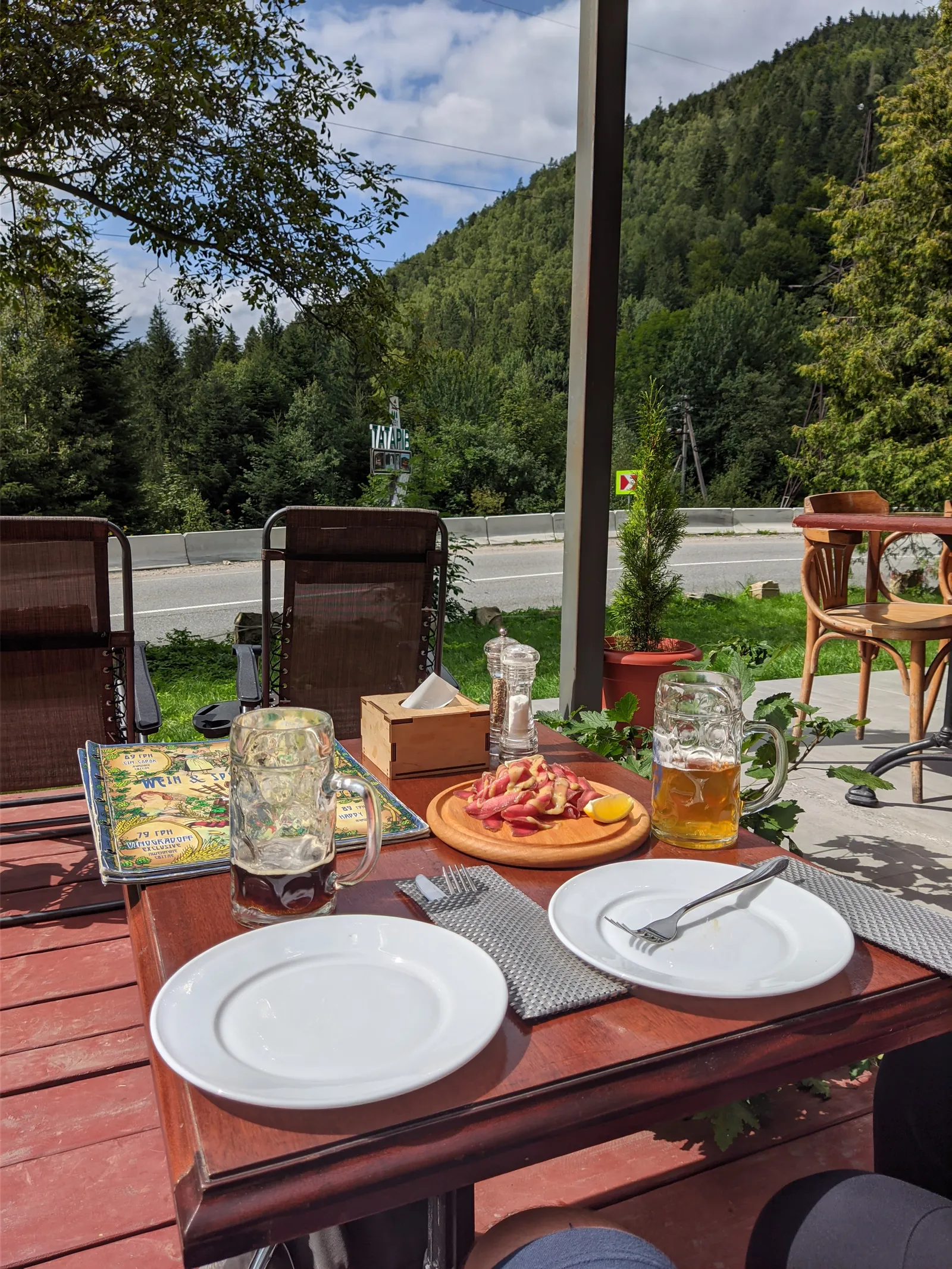 Пивний сад / Biergarten image 9