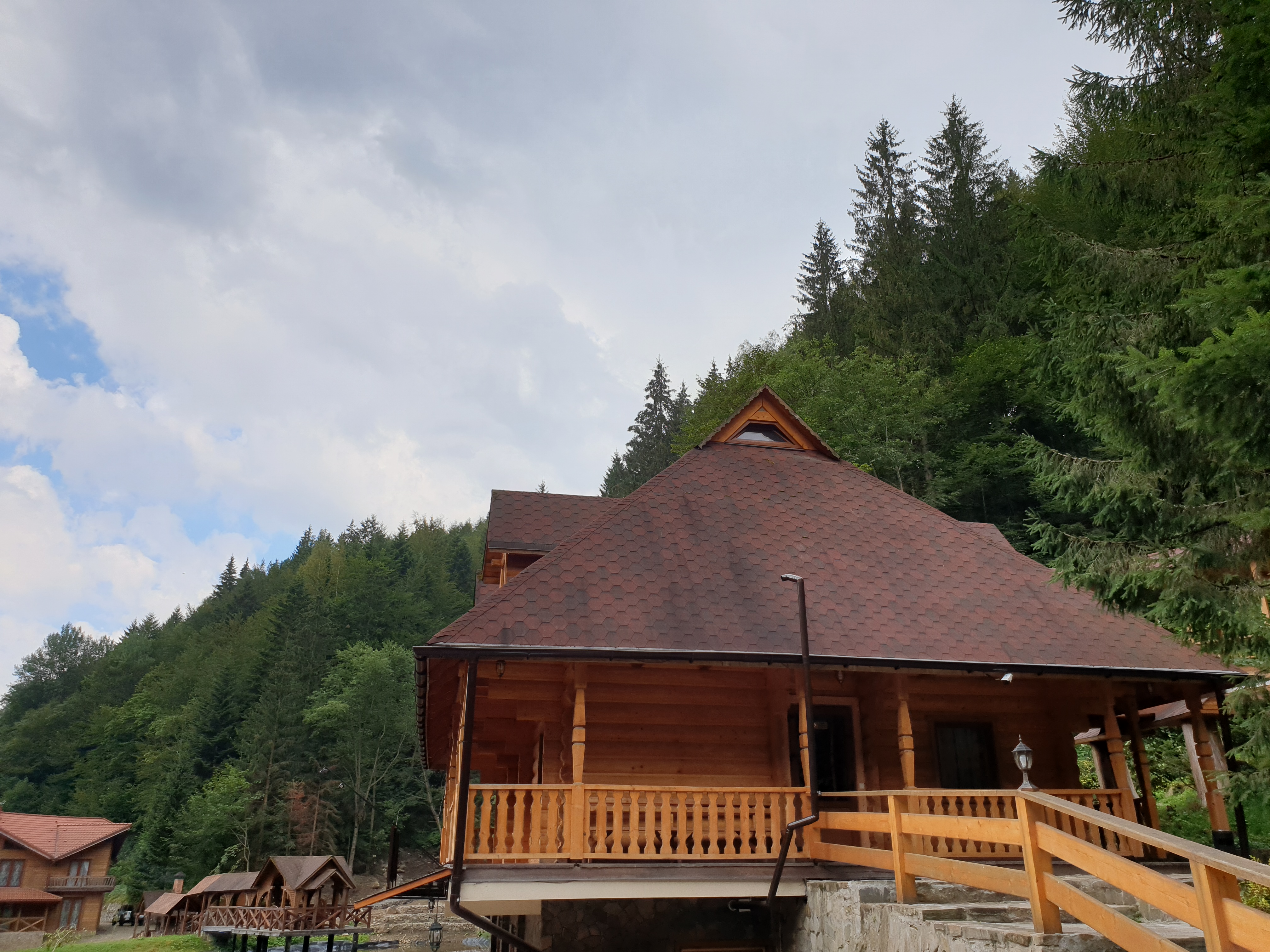 Cafe Дикий мед image 6