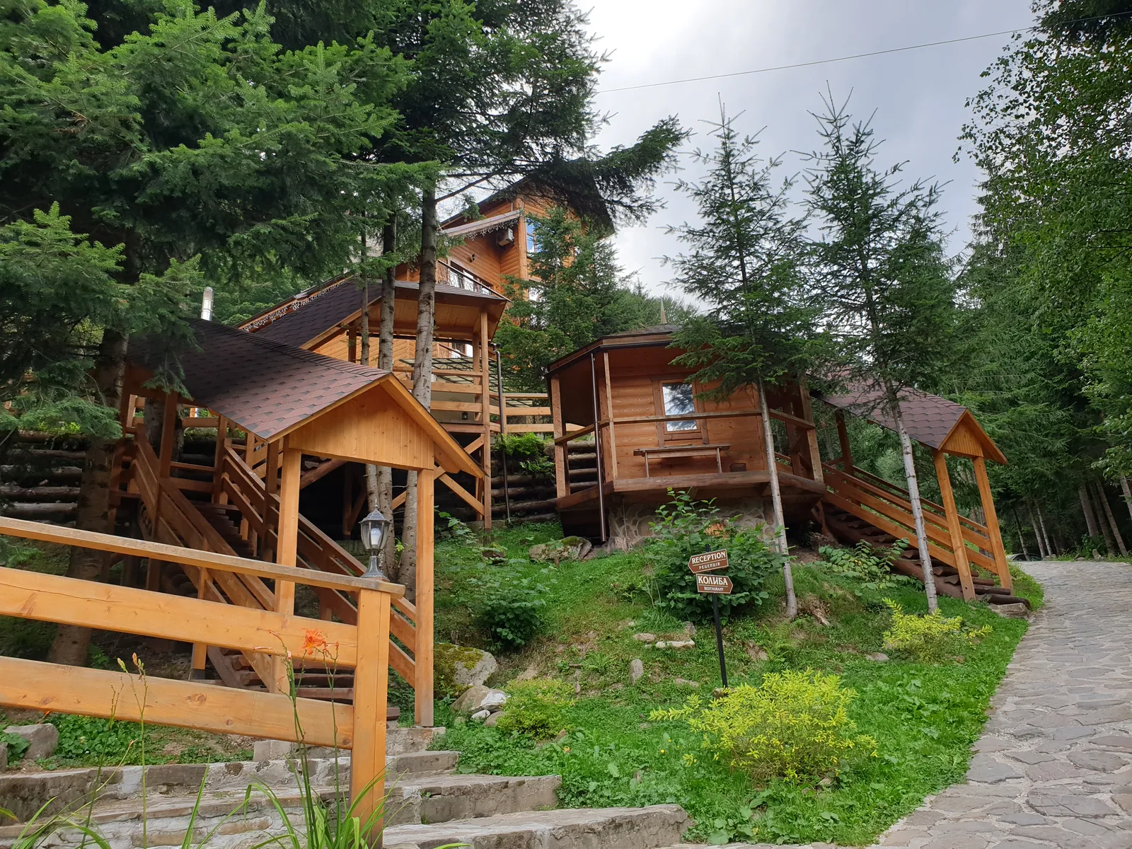 Cafe Дикий мед image 8