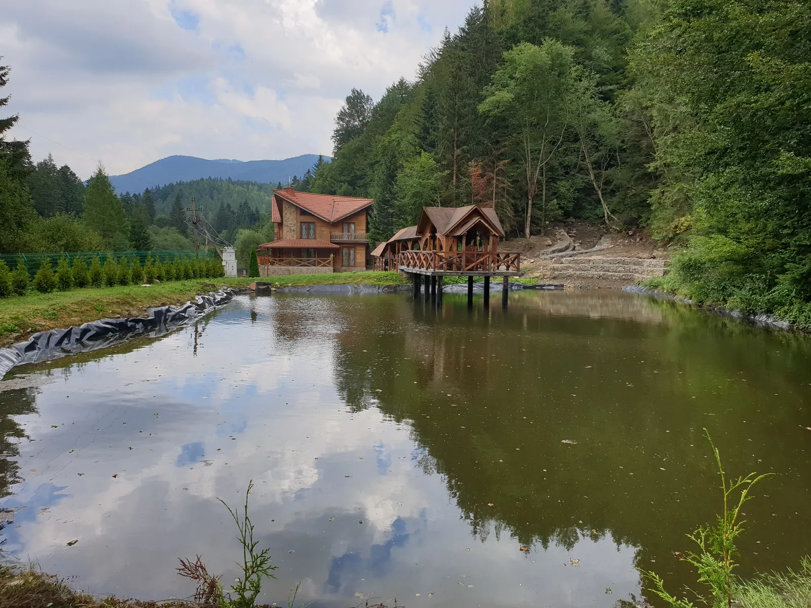 Cafe Дикий мед image 9