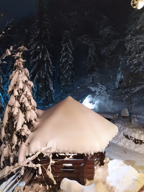 Kolyba "Dykyy Med" image 8