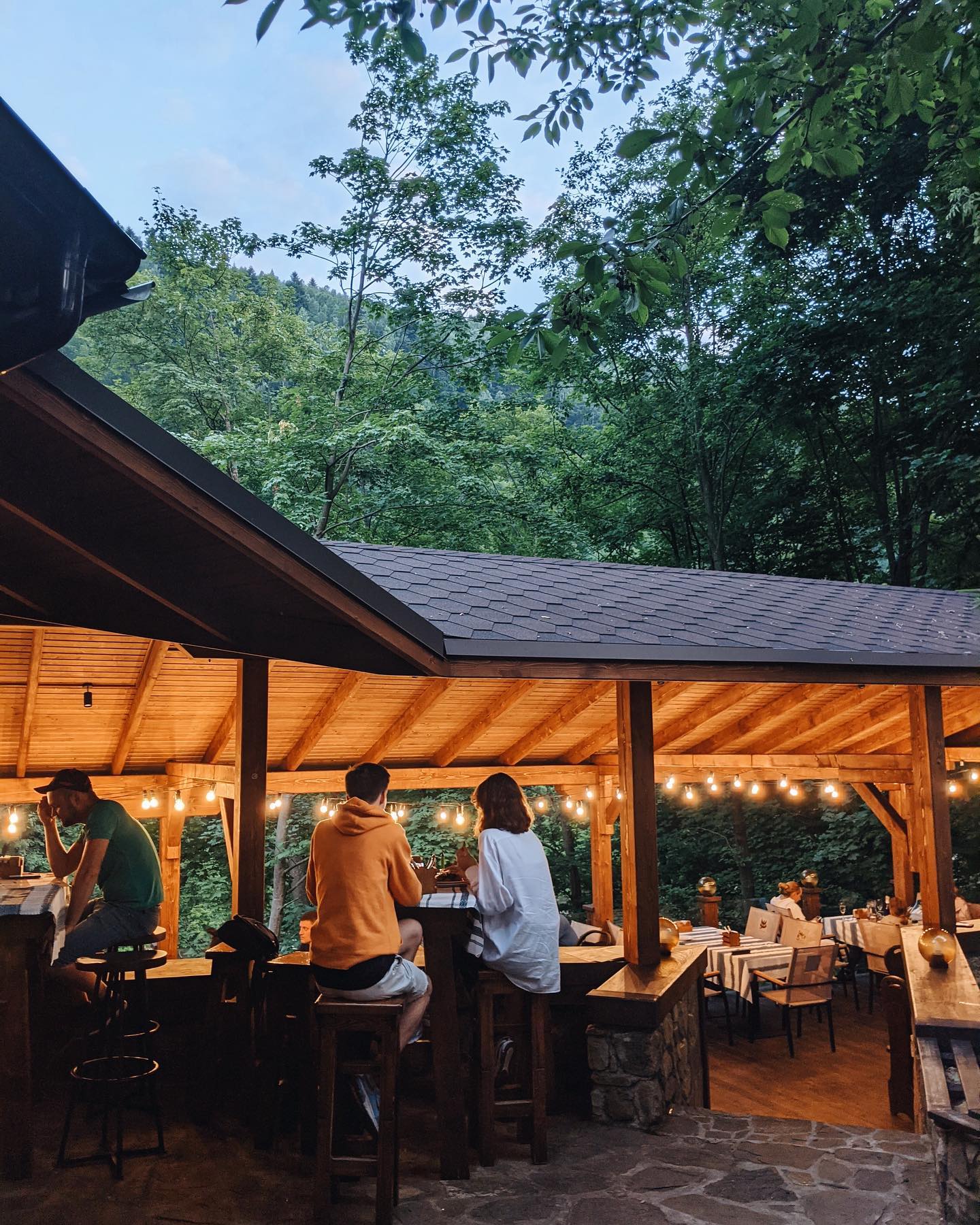 Krasna sadyba image 1