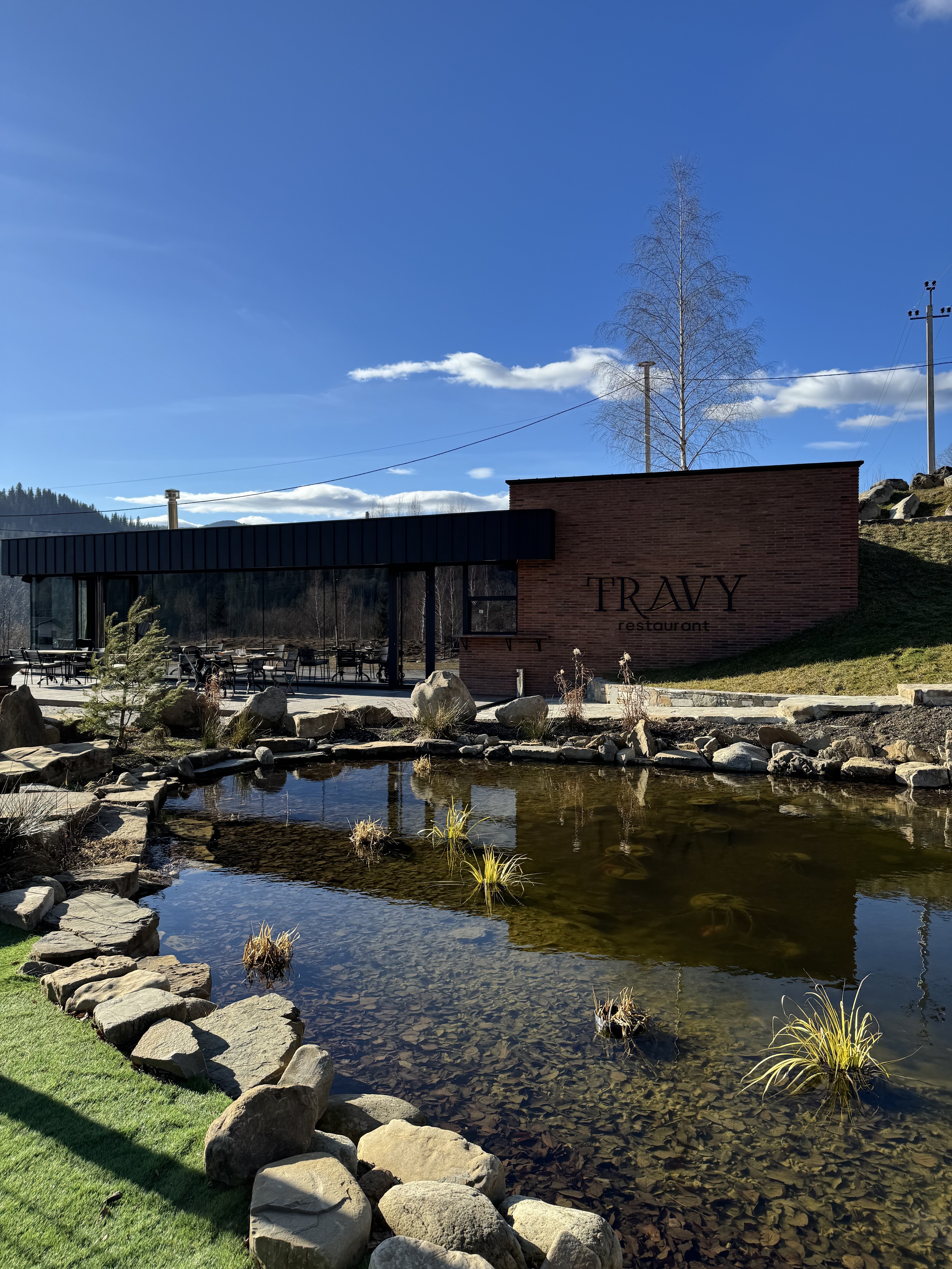 TRAVY restaurant image 6