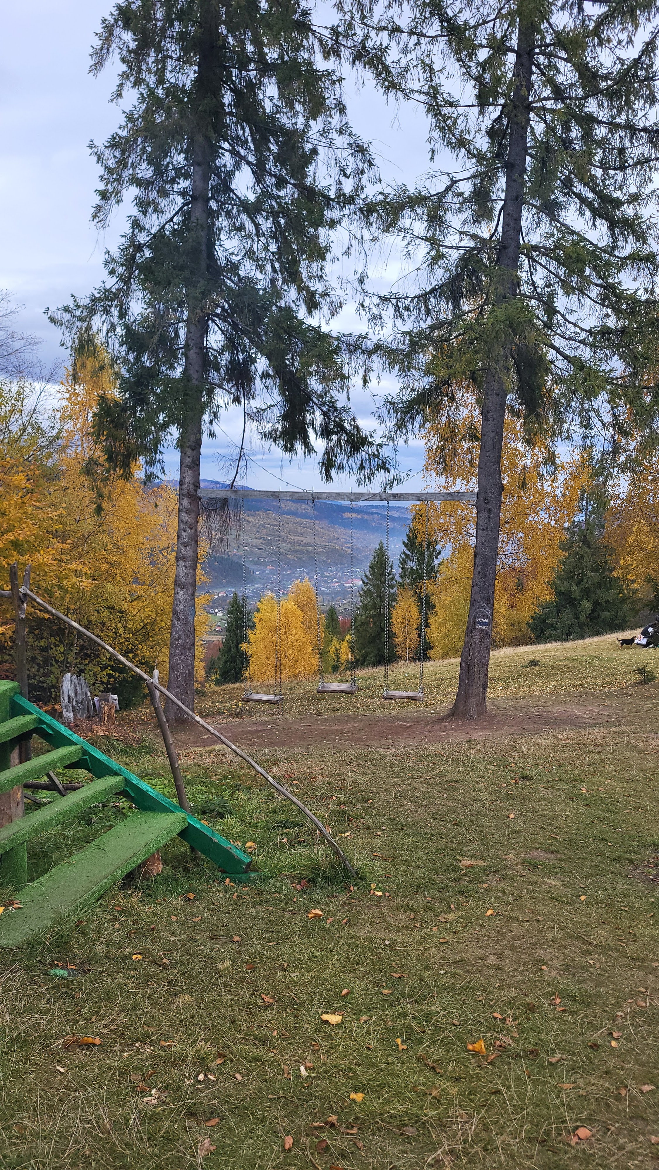 Bohrach Plyus image 5