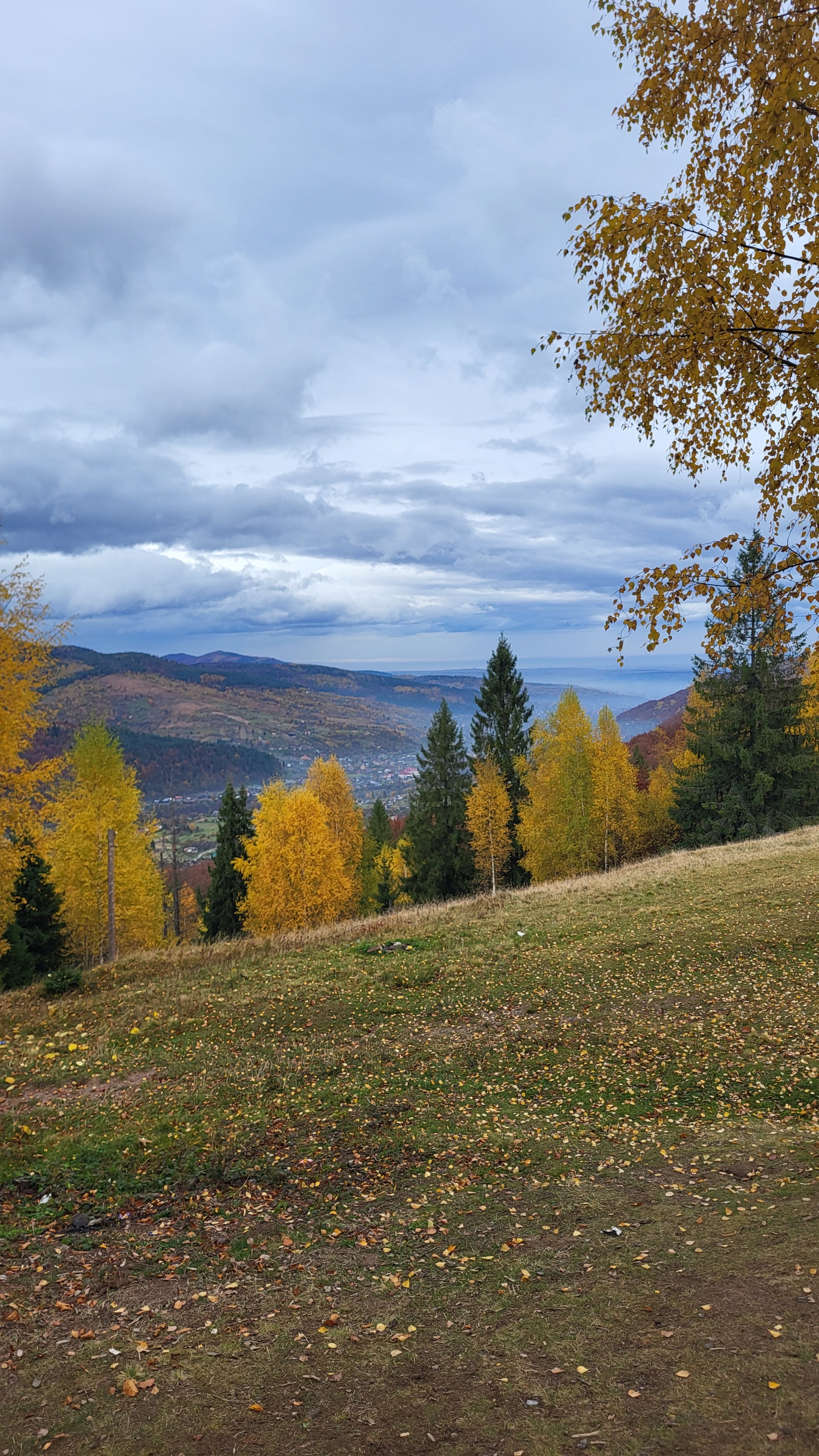 Bohrach Plyus image 9