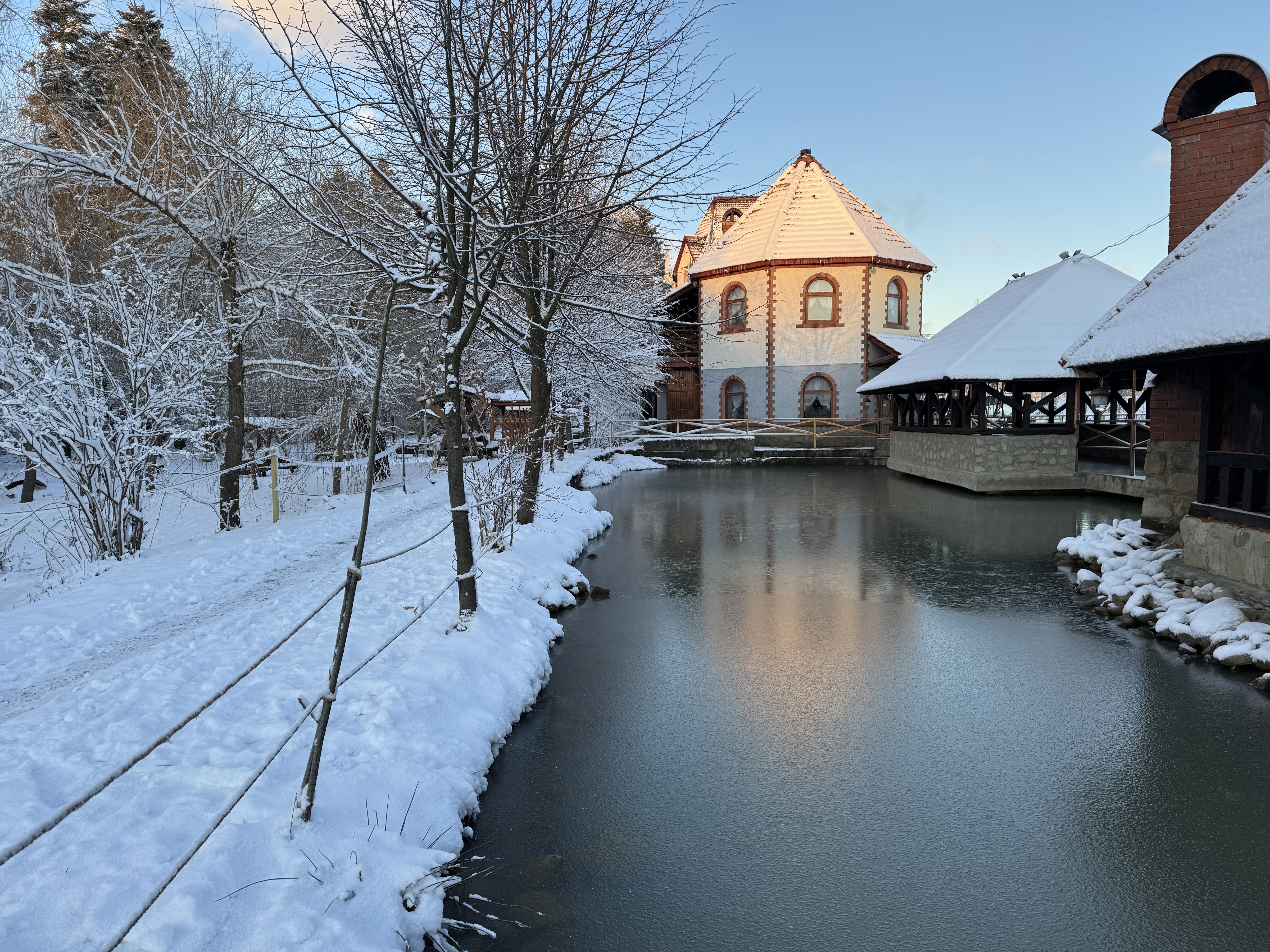 Vorota Karpat image 4