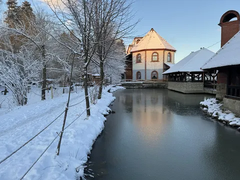 Vorota Karpat image 4