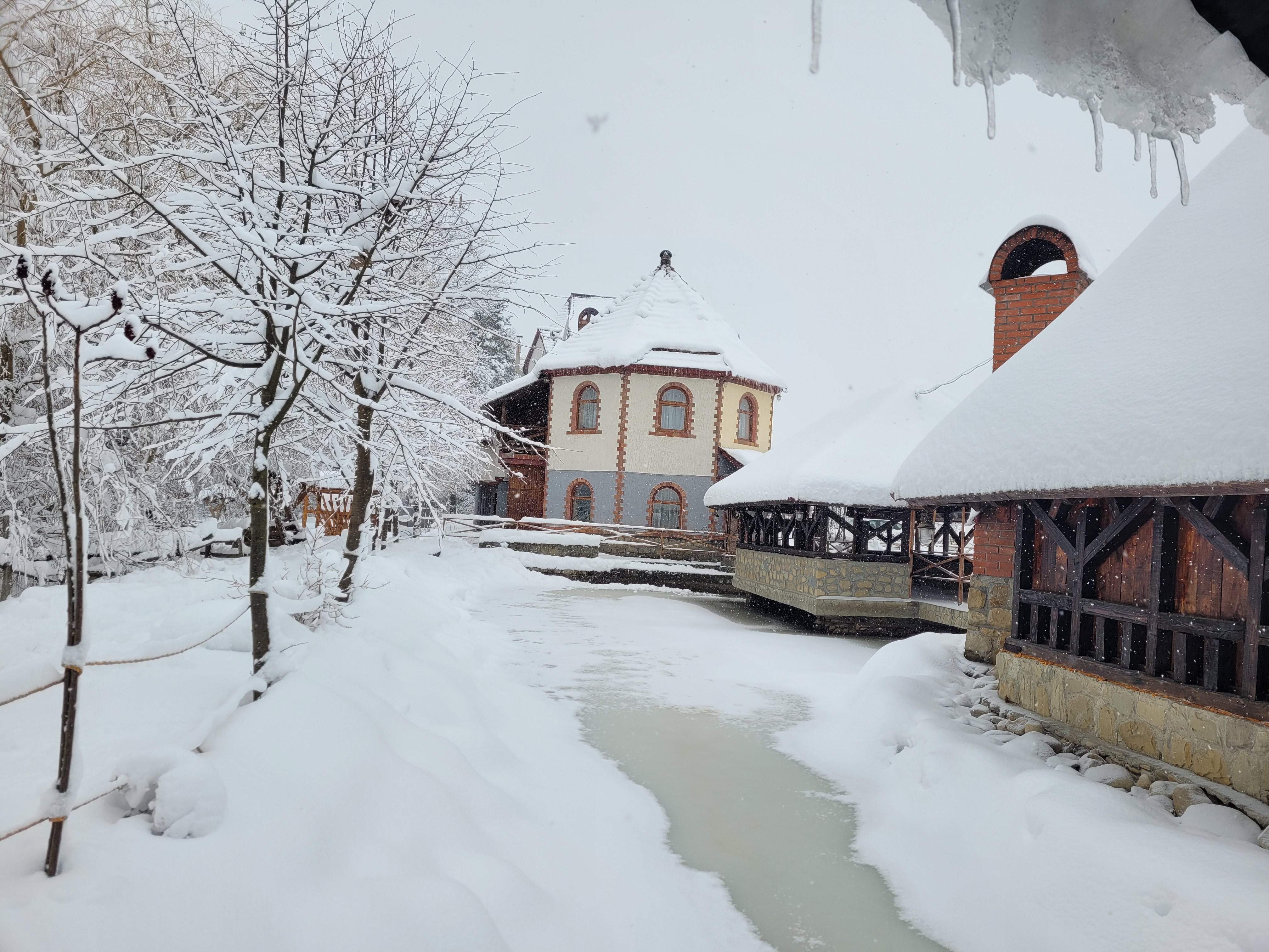 Vorota Karpat image 7