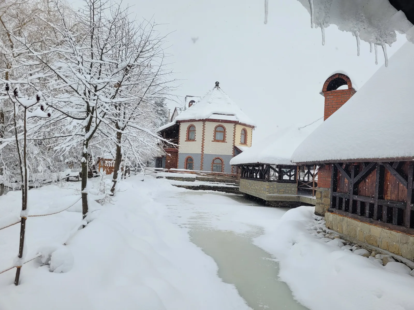 Vorota Karpat image 7