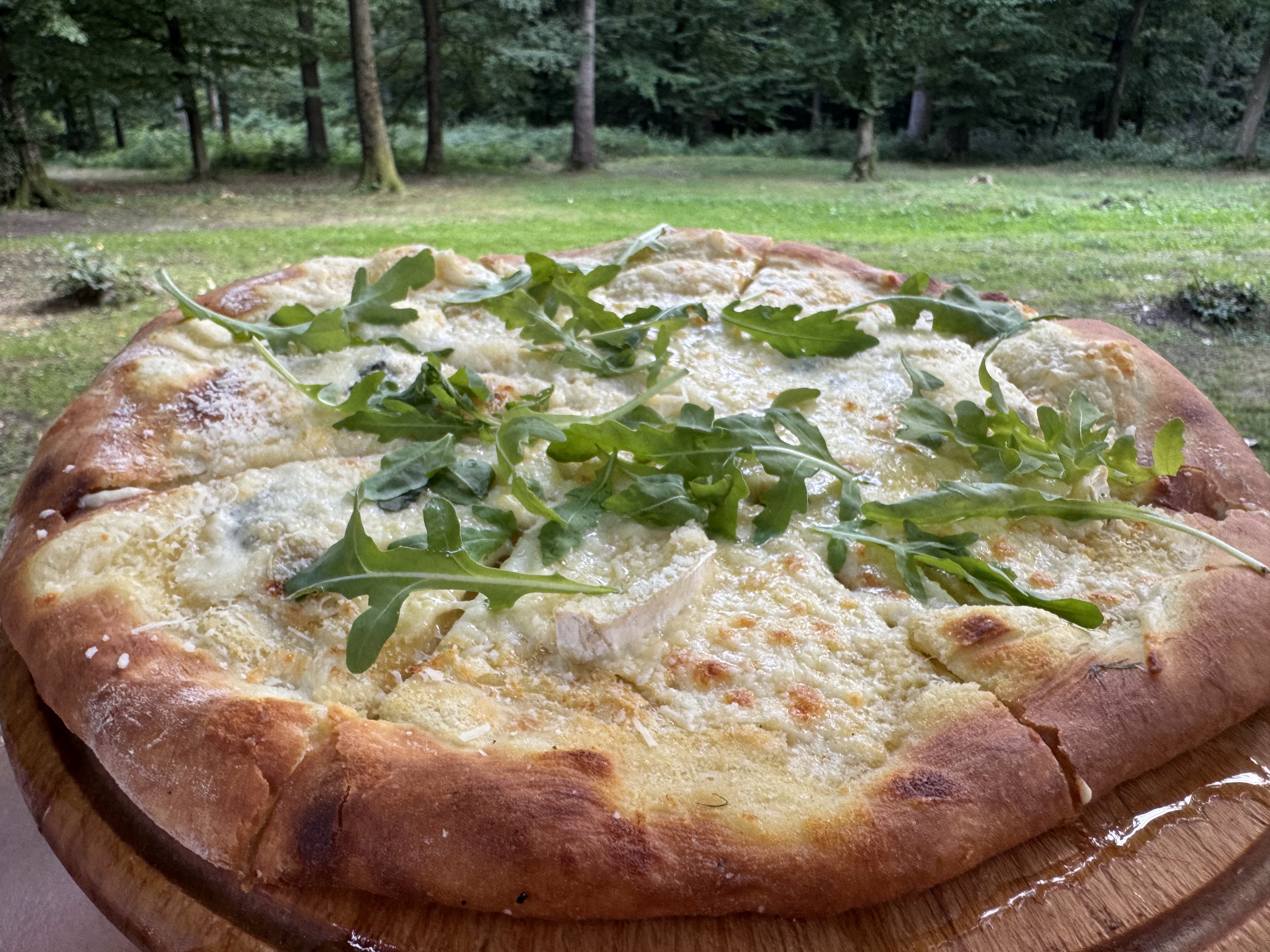 Vorota Karpat image 9