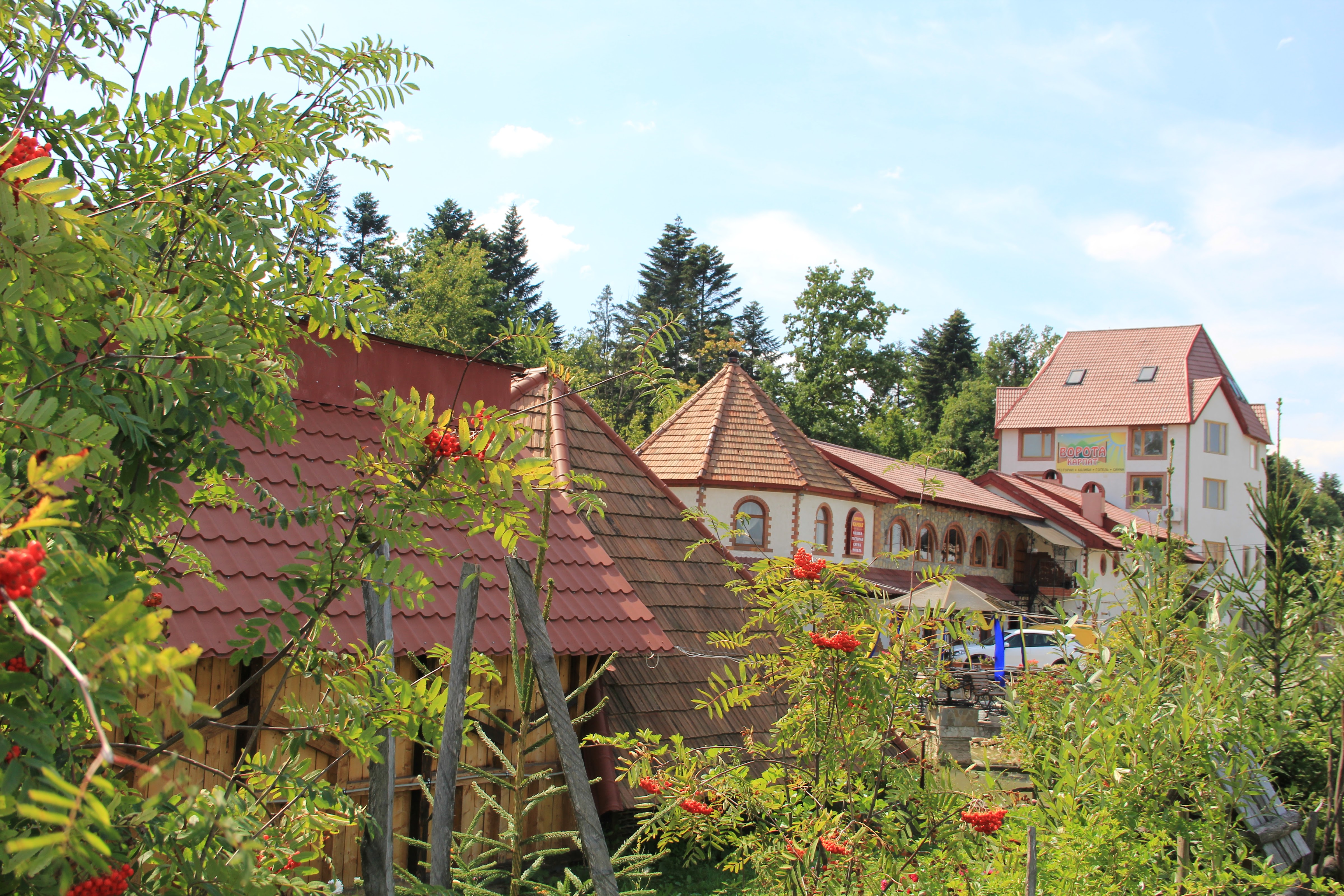 Vorota Karpat image 10