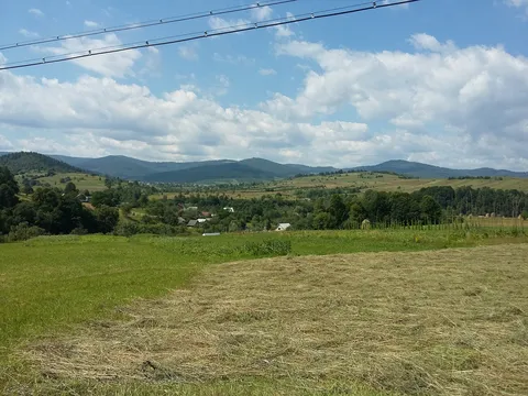 колиба у шпака image 4