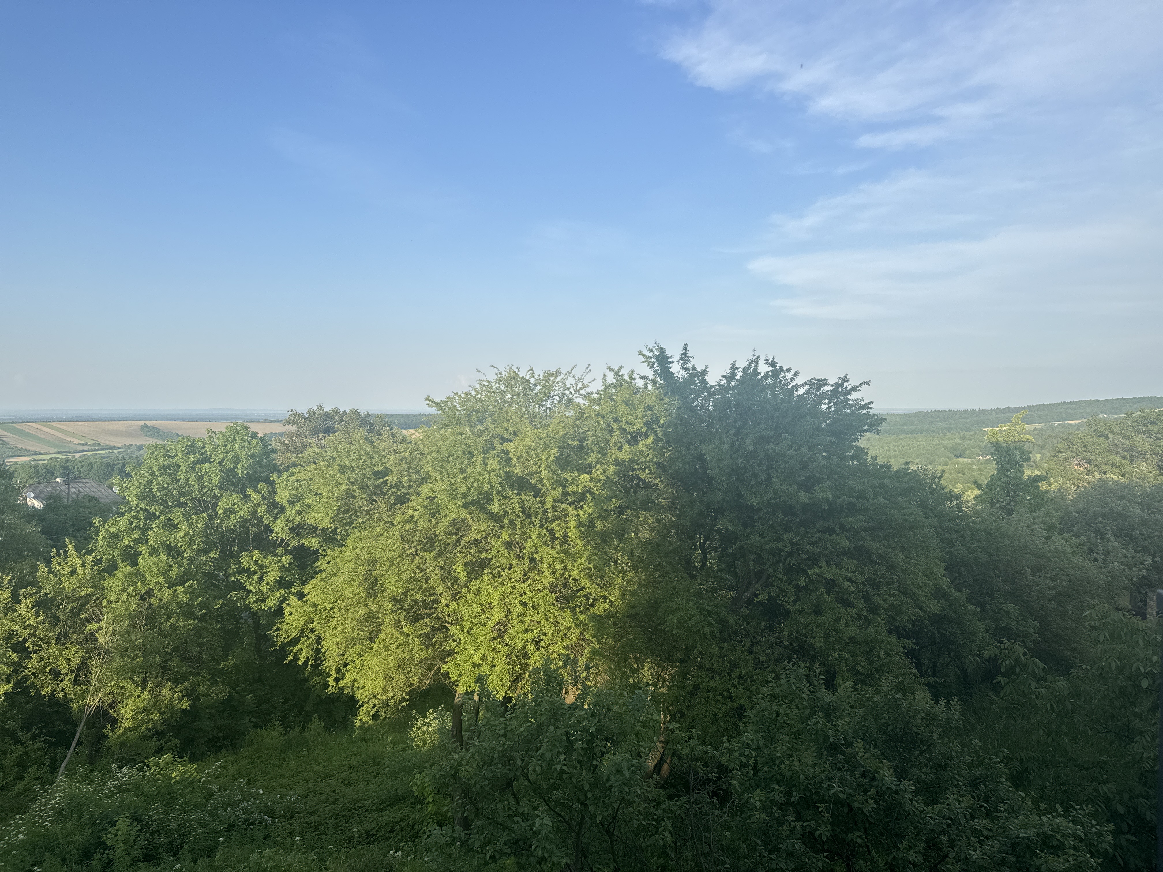 Terrazzo Restaurant image 3