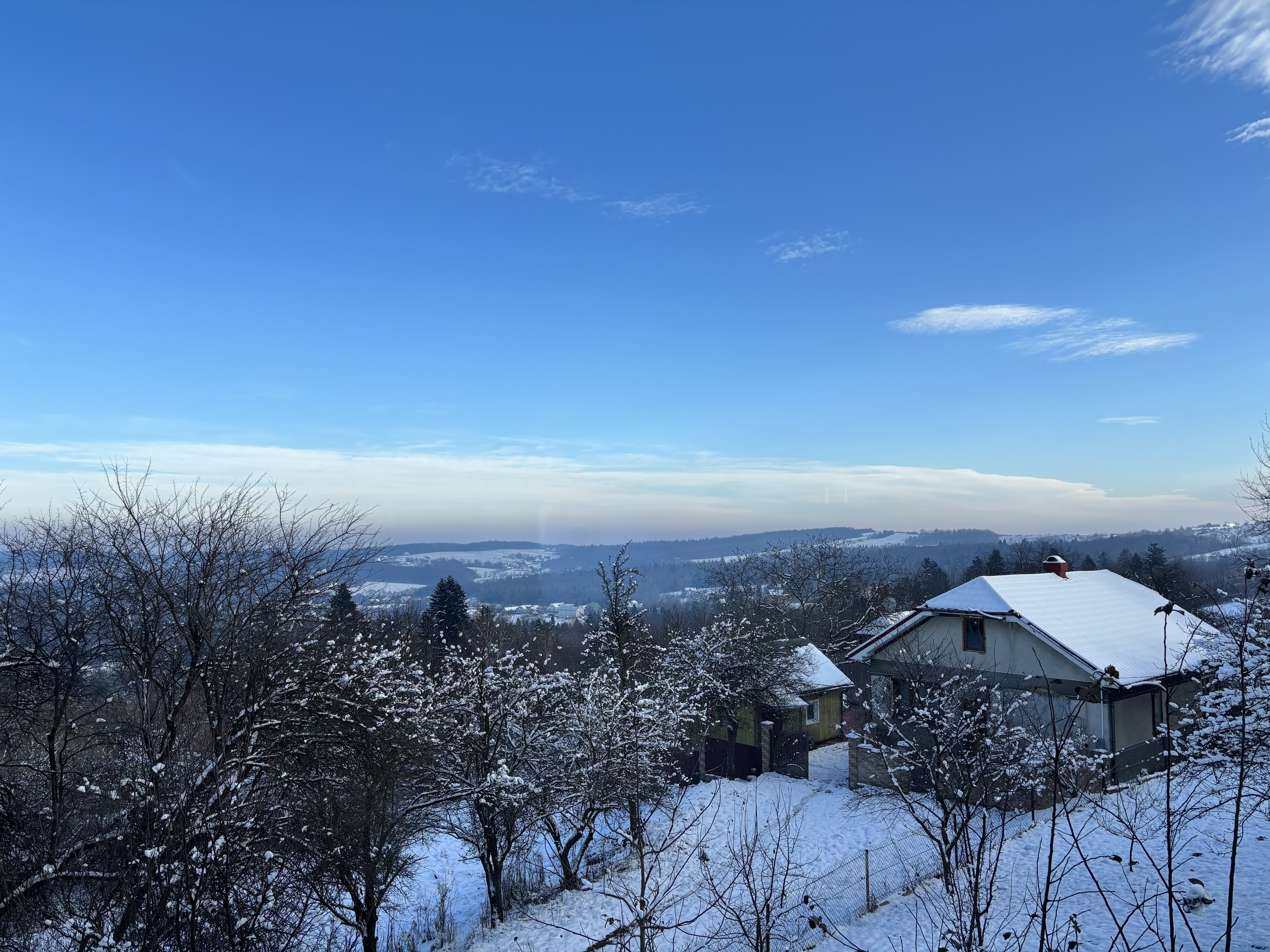 Terrazzo Restaurant image 6