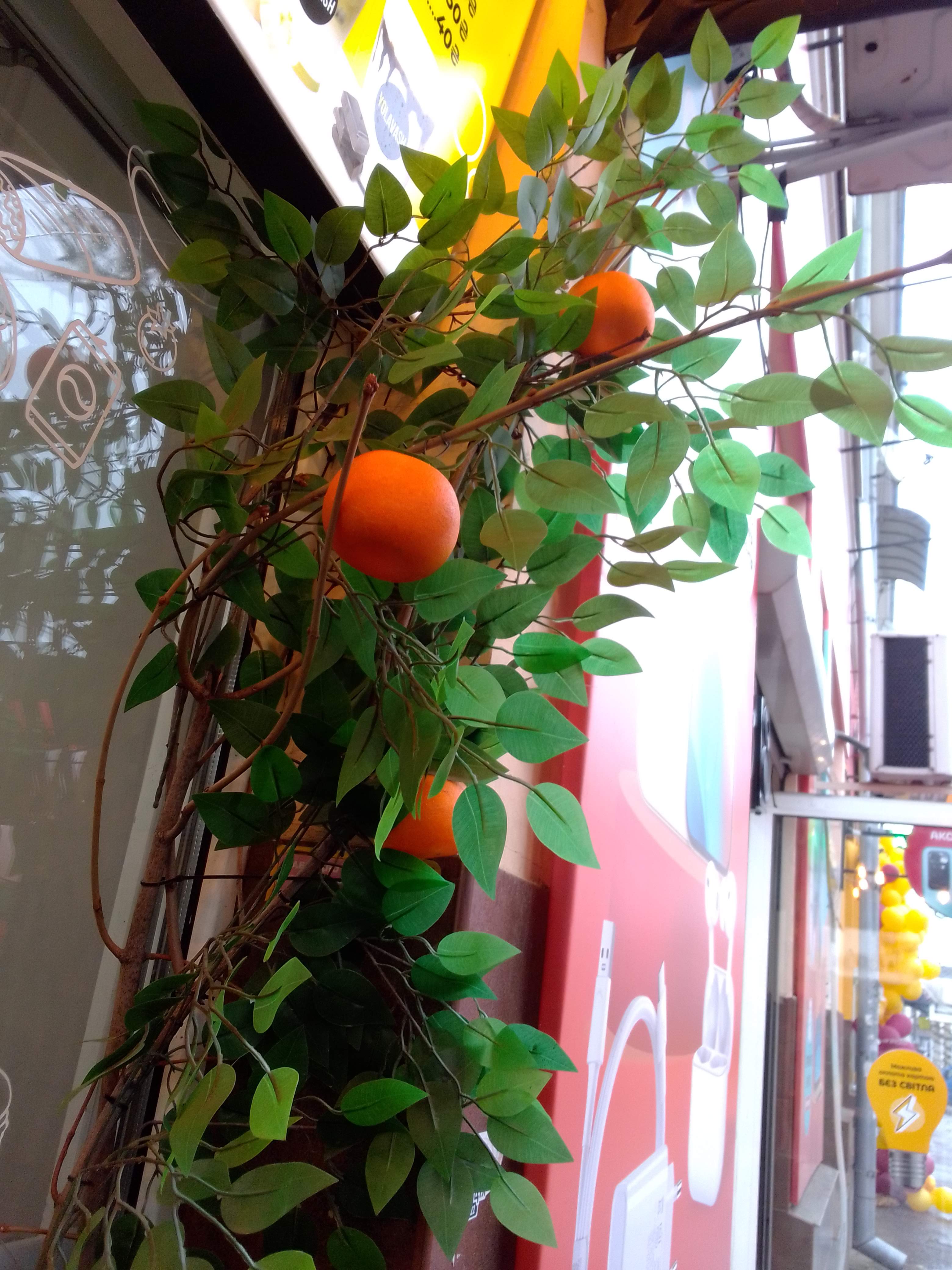 Yolavash Shaurma image 10