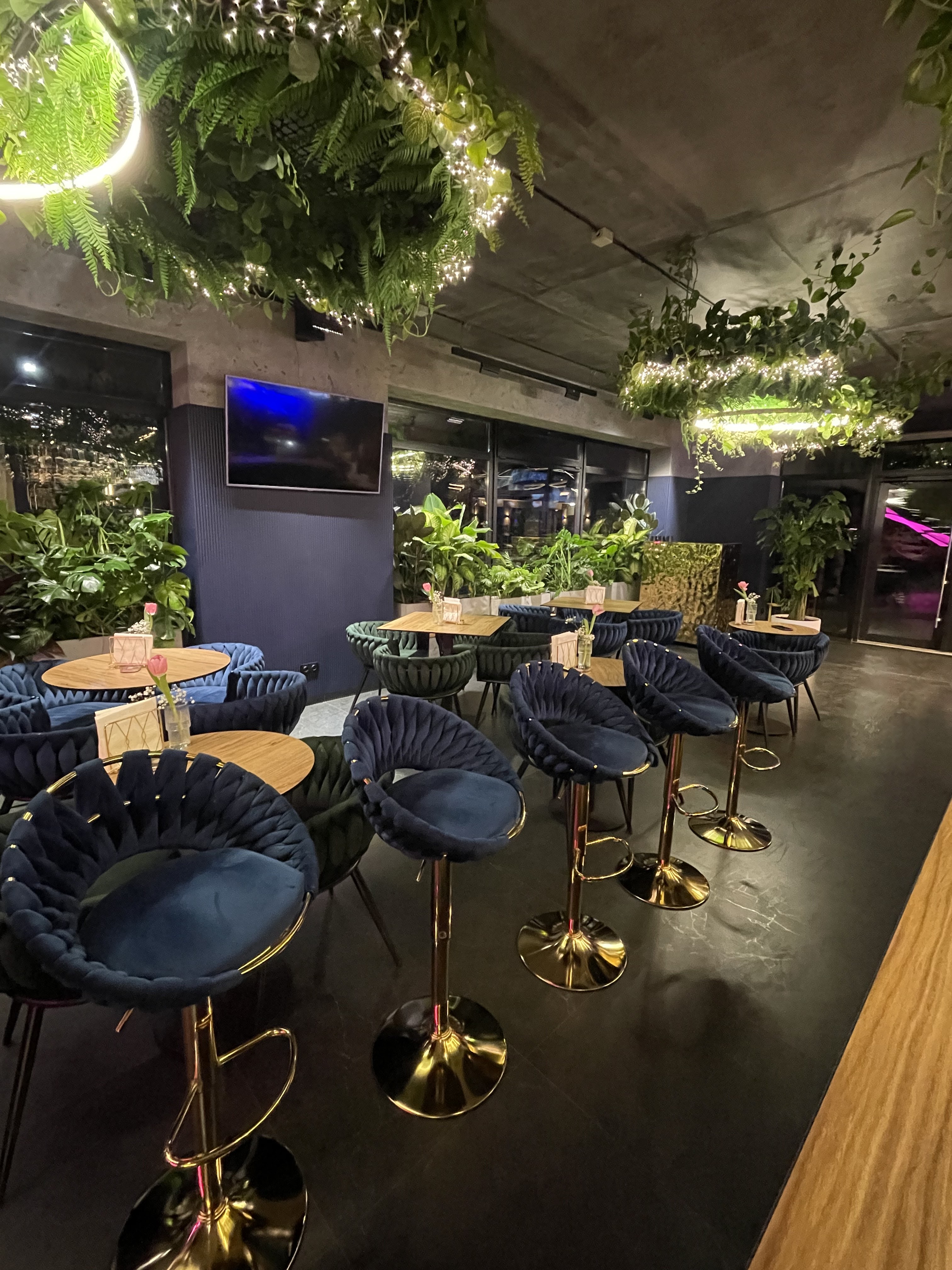 Oranzhereya image 10