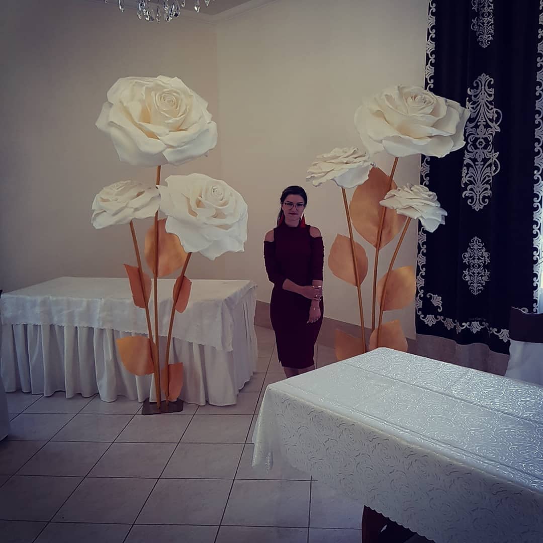 Pansʹkyy Dvir image 6