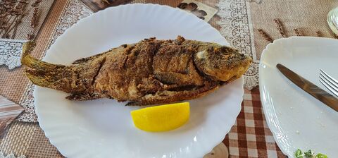 Restaurant "Marsel" image 7