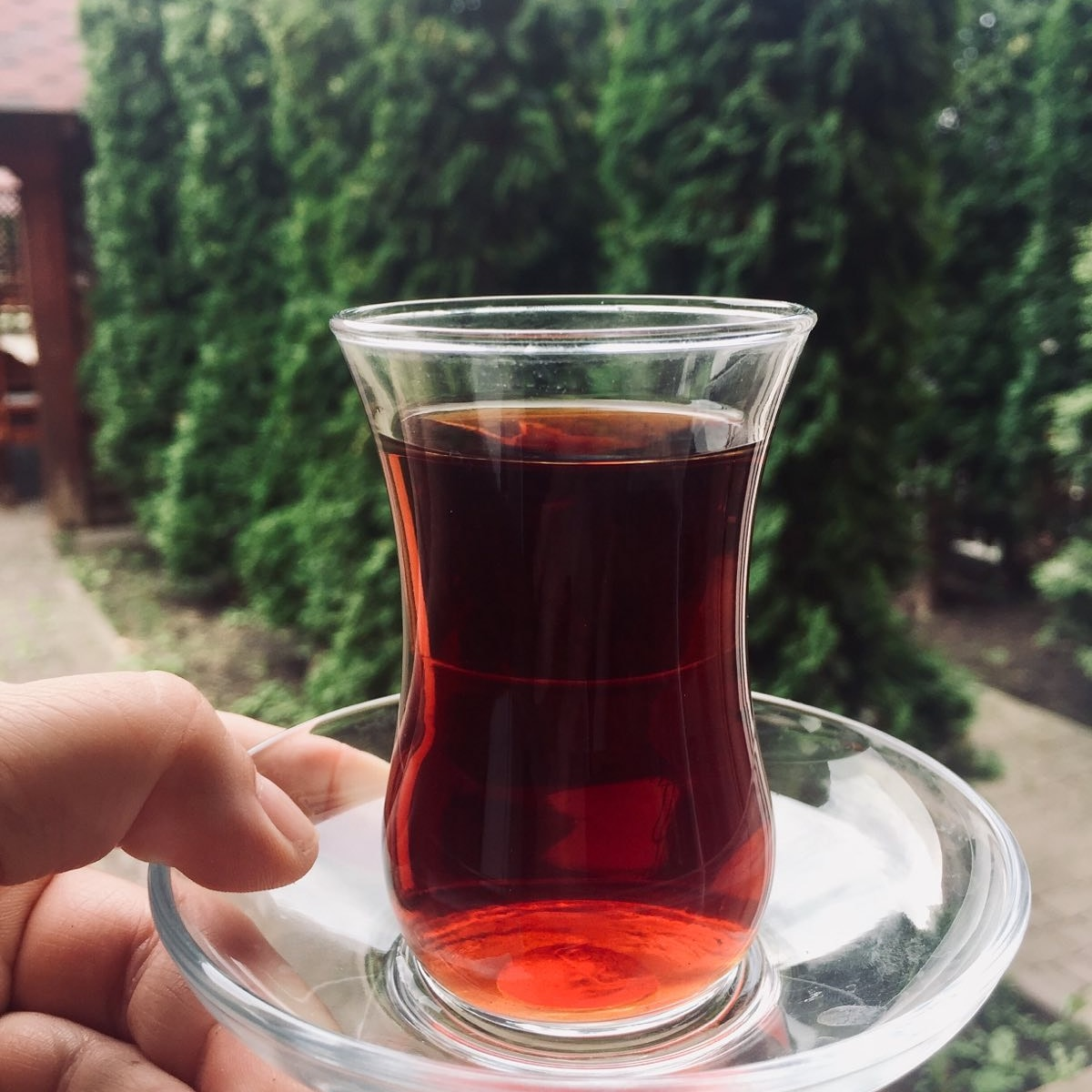 Готель Формула image 9