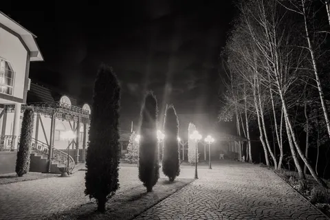 Vernisazh image 6