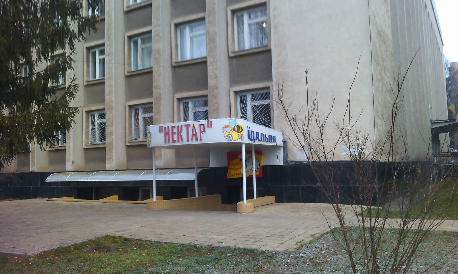 NEKTAR image 3