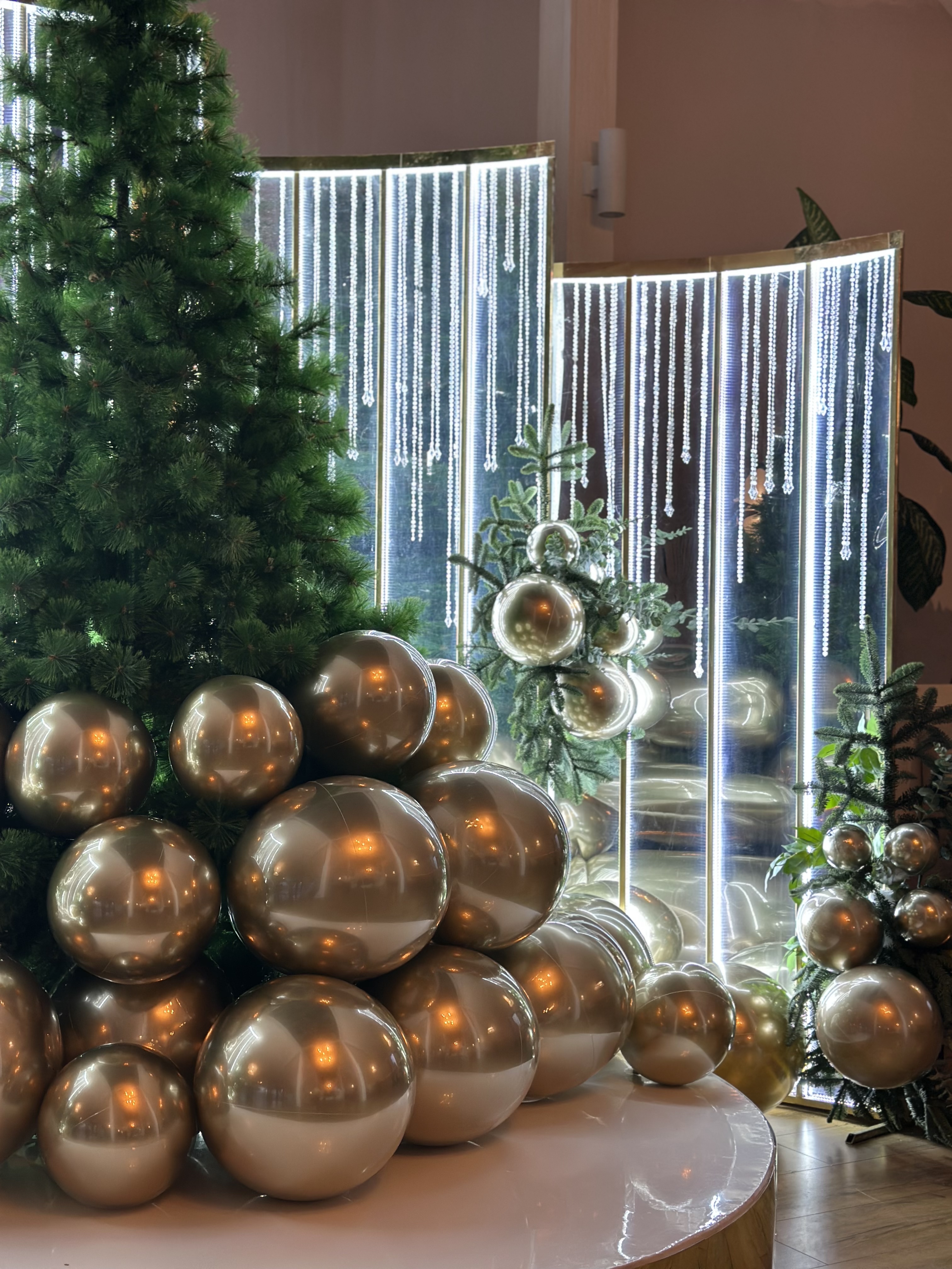 Orlyne Hnizdo image 9