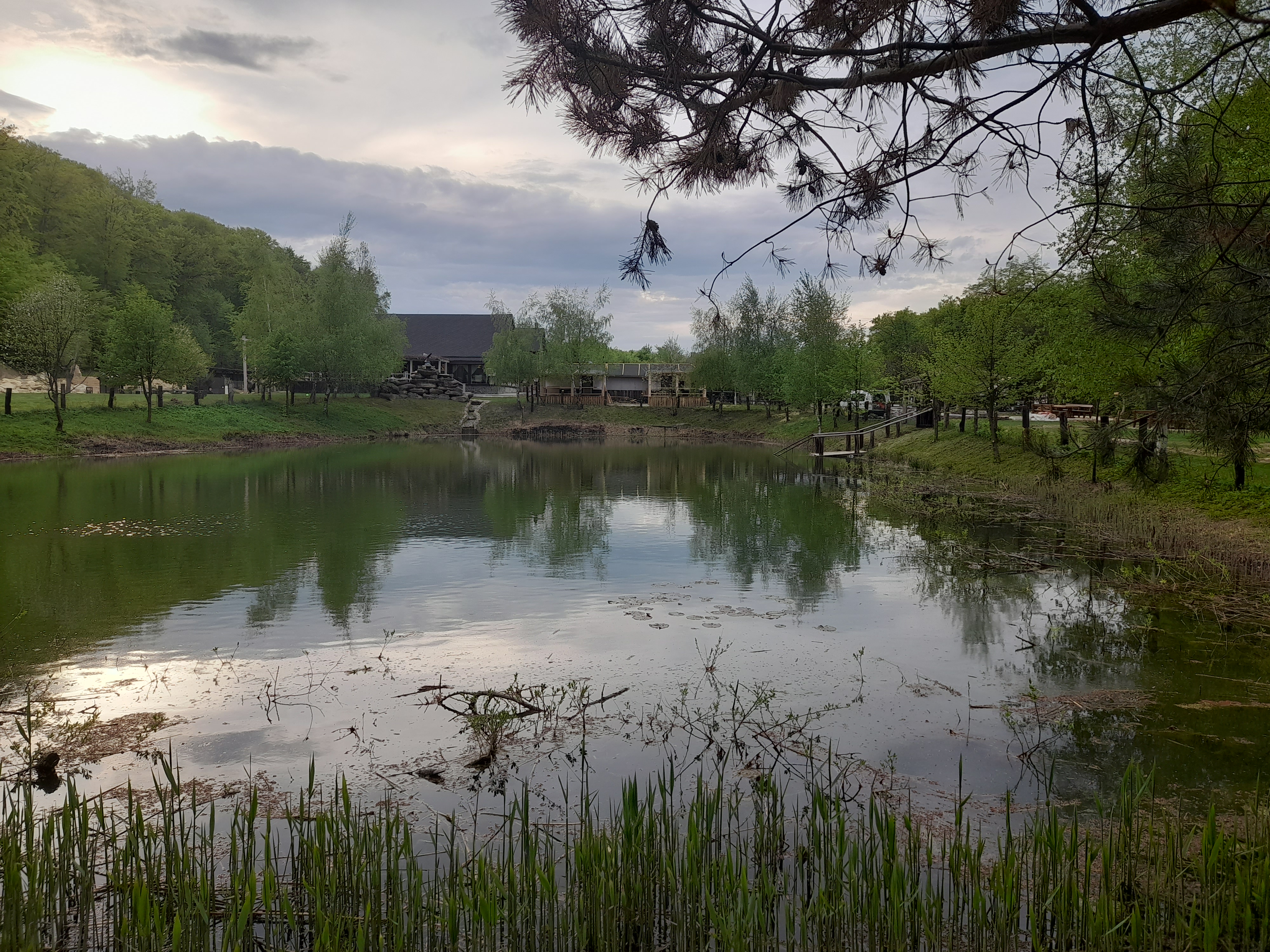 Orlyne Hnizdo image 10