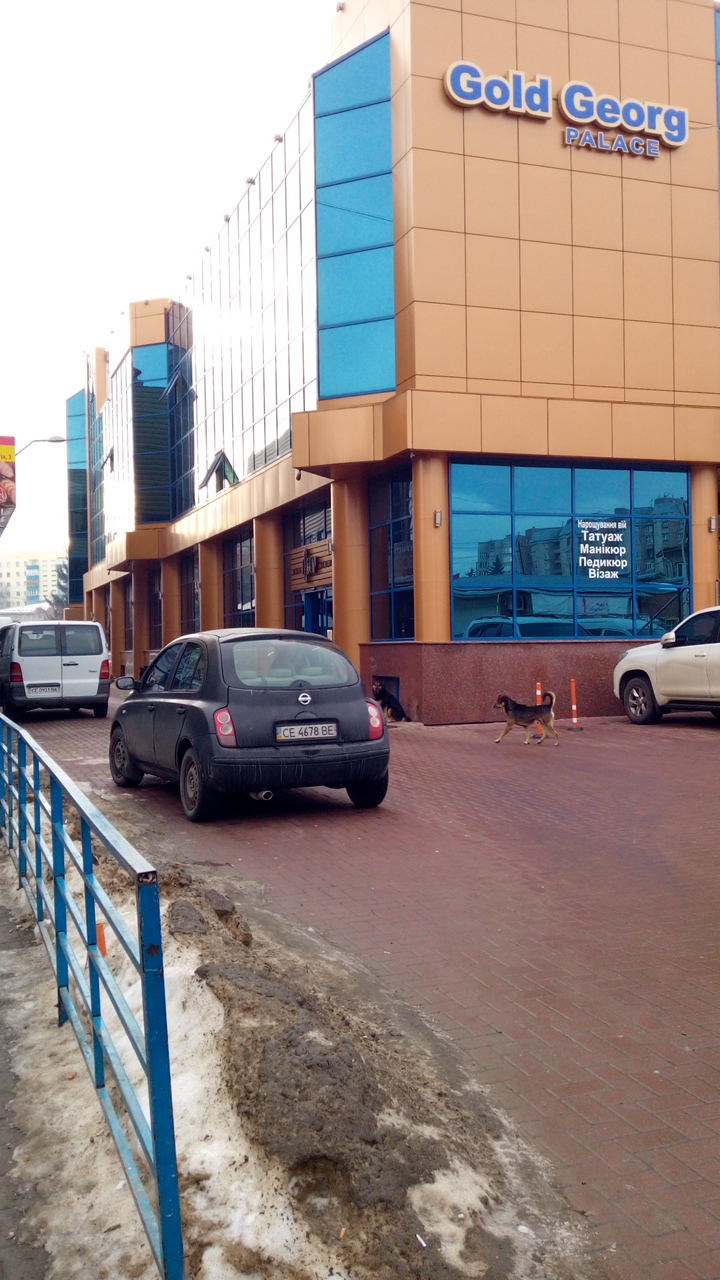 Equator Plus chain of home cooking image 4