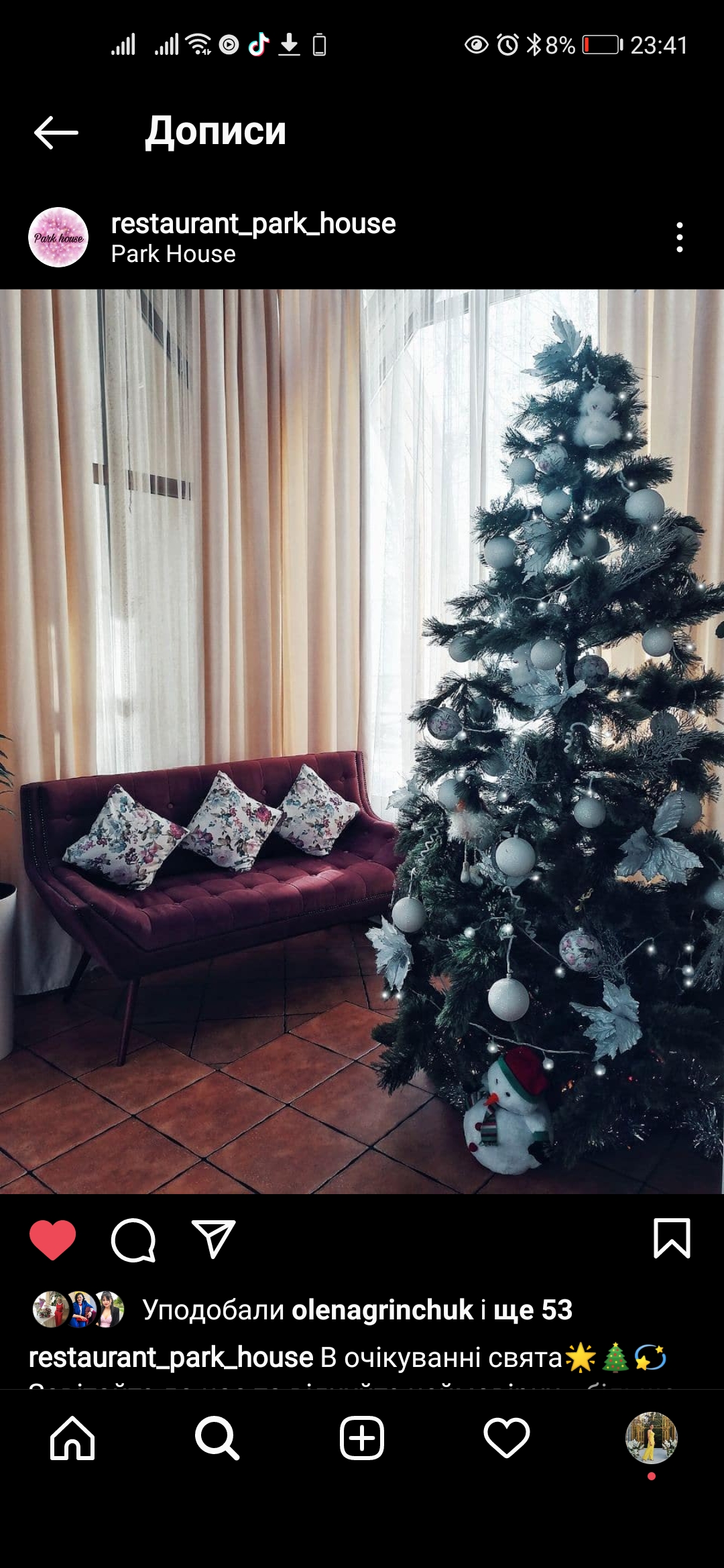 Комплекс синій Папуга. Ресторан"Park House" image 3